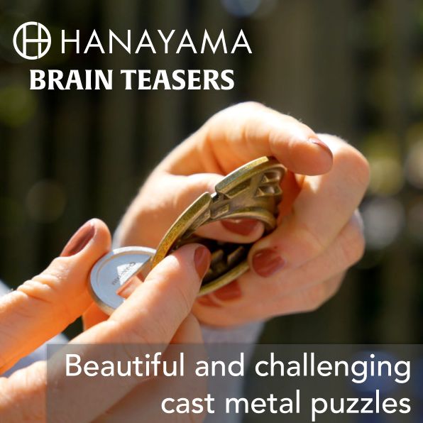Jam Hanayama Puzzle Level 3