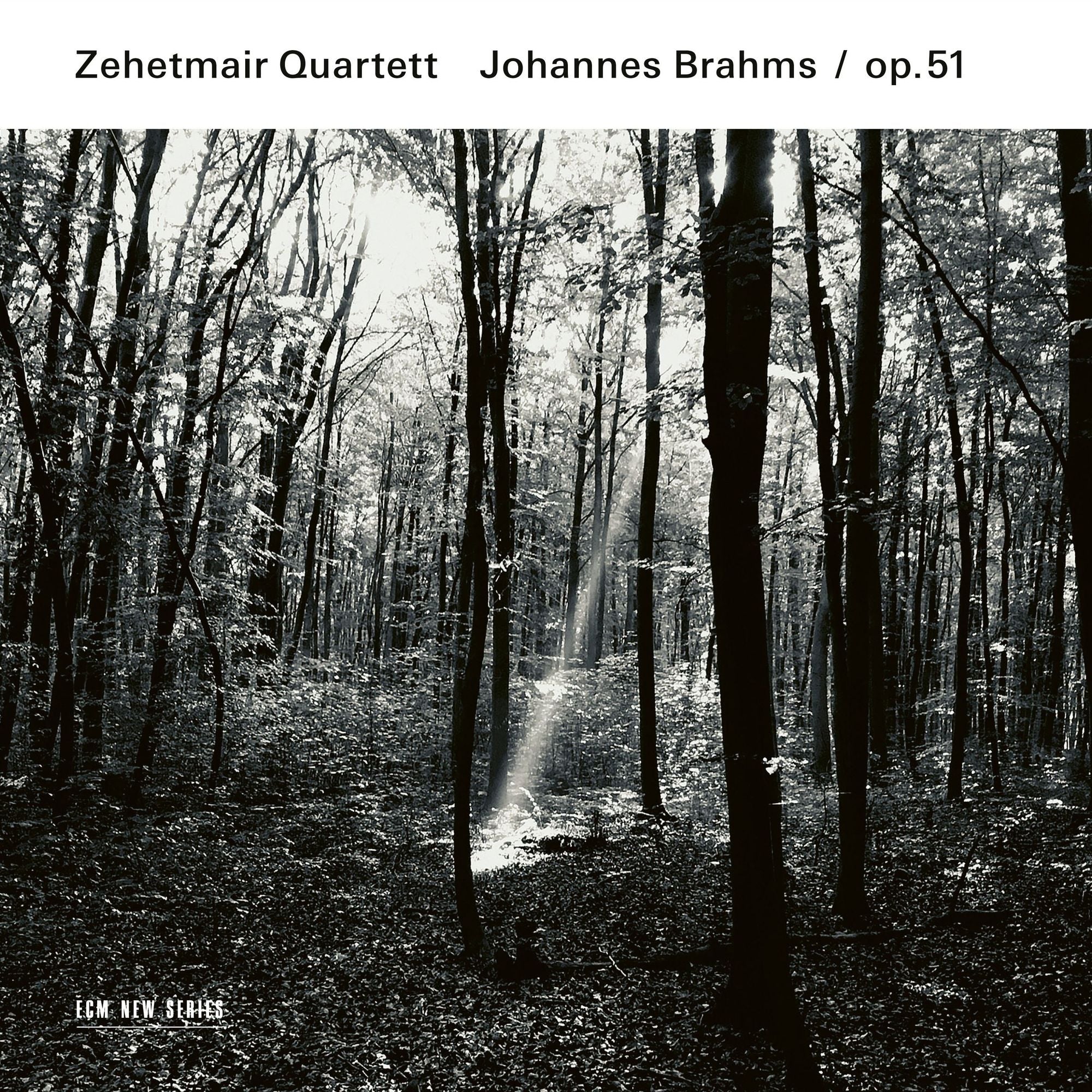 Johannes Brahms: Op. 51