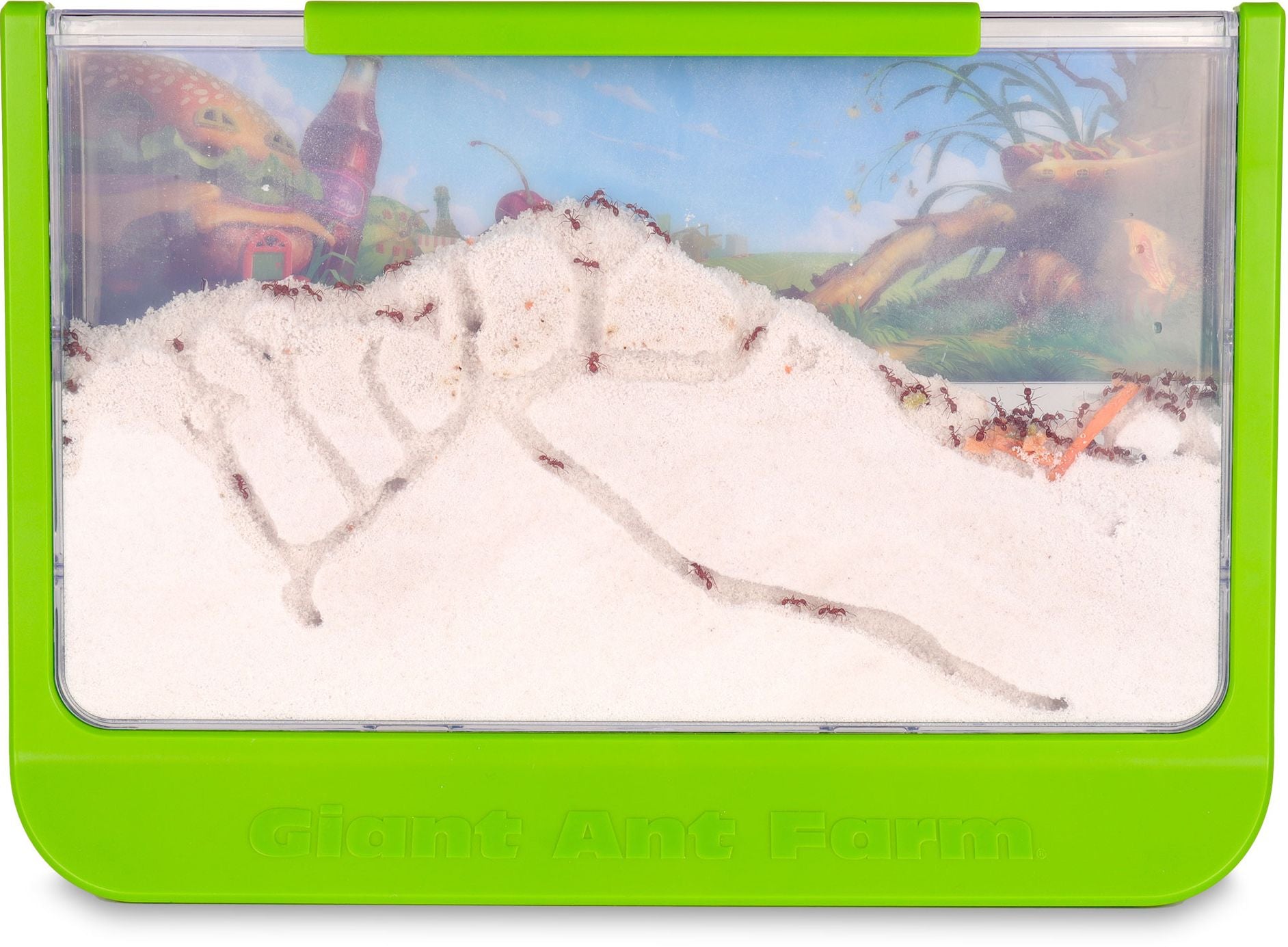 Giant Ant Farm