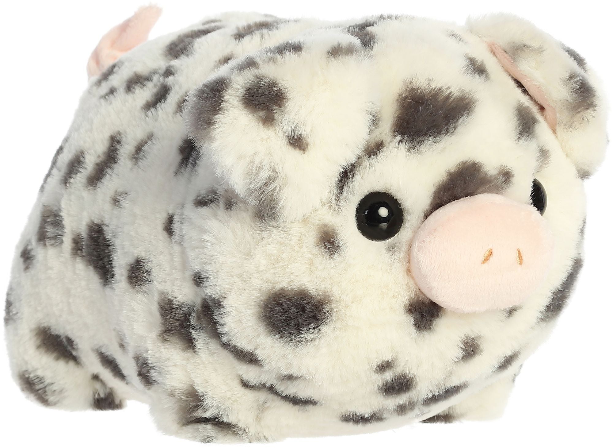 10" PIERRE SPOTTED PIG¿