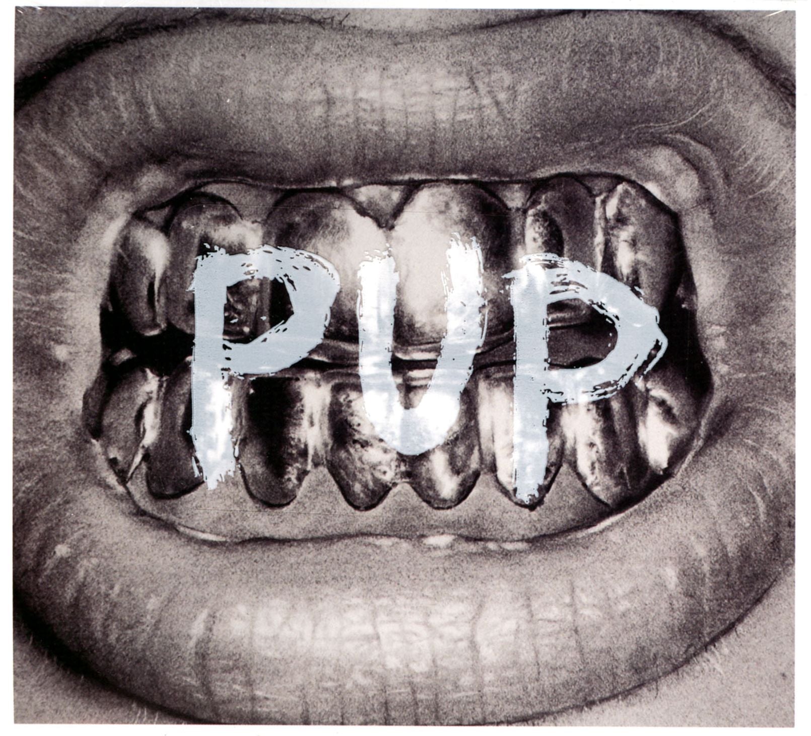 Pup