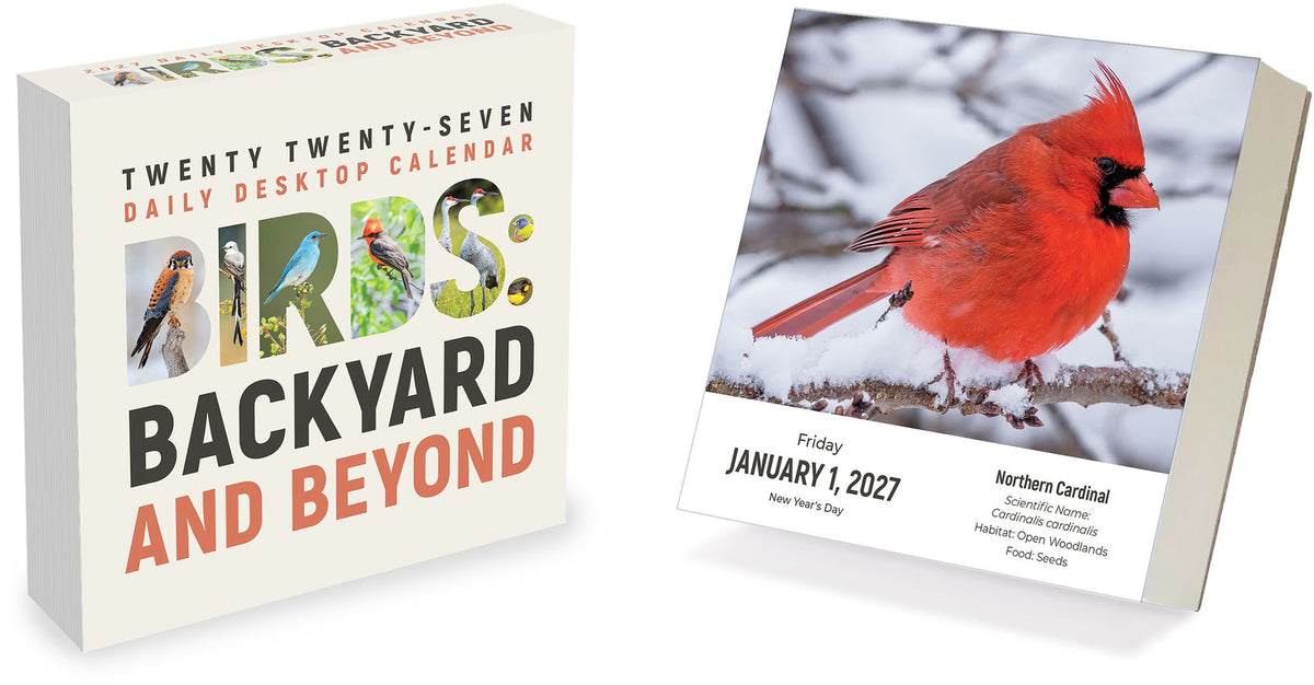 2027 Birds: Backyard & Beyond Daily Desktop Calendar