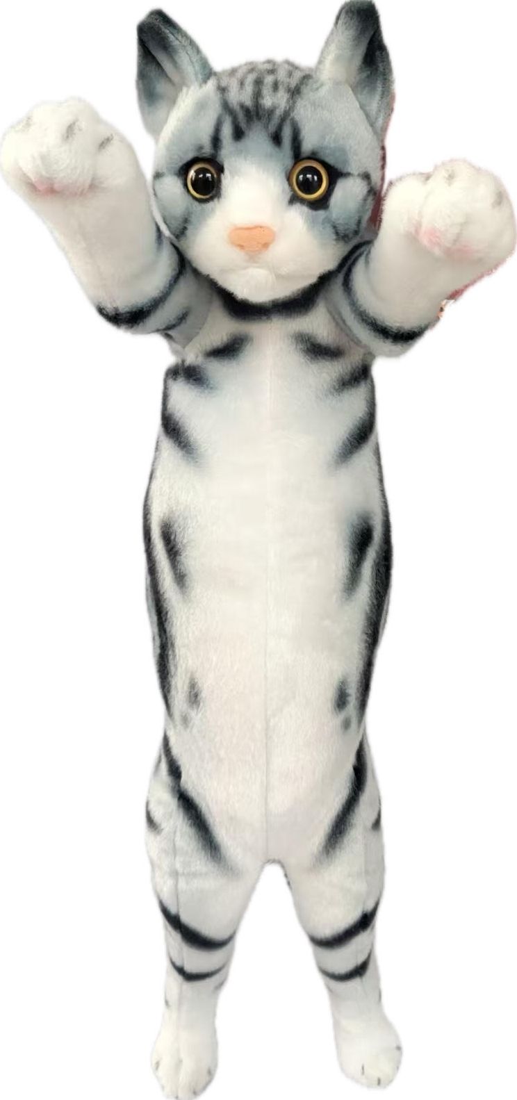 CRAZY KITTEN MEDIUM STANDING CAT