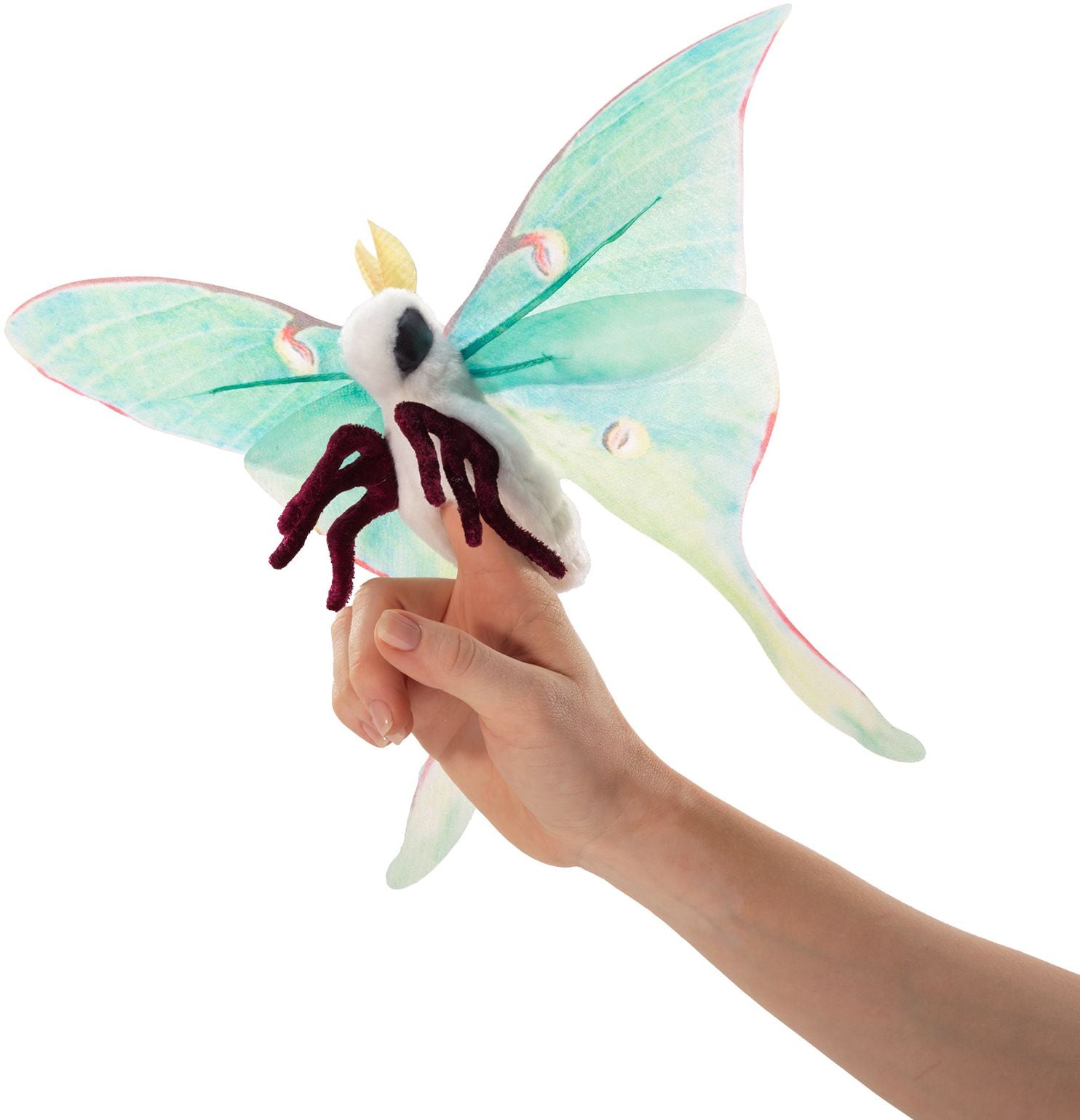 Little Turtle Puppet