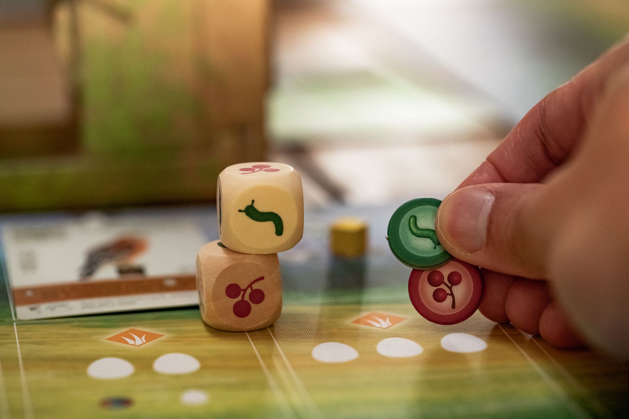 Wingspan by Elizabeth Hargrave