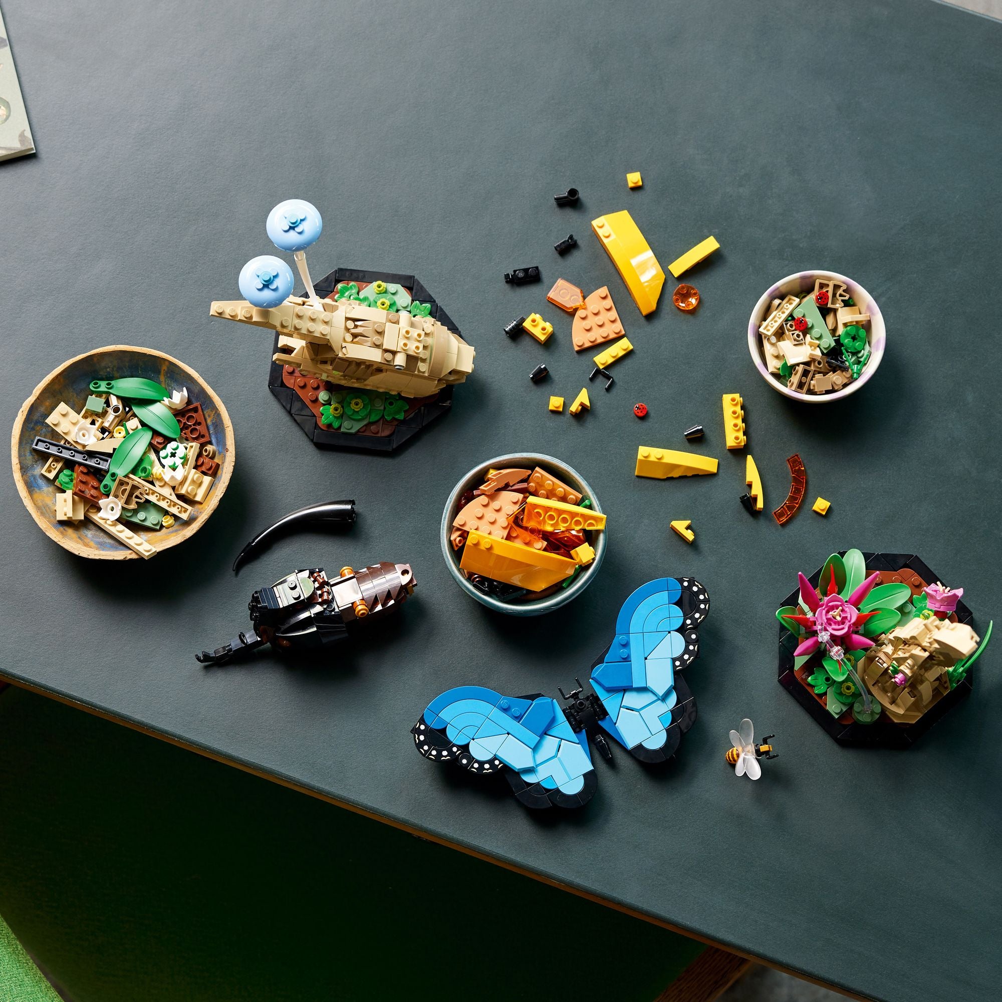 LEGO Ideas The Insect Collection 21342