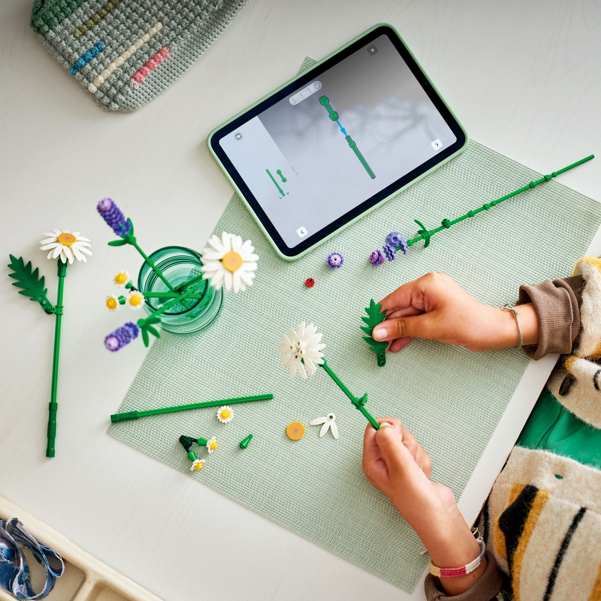 LEGO Botanicals Daisies 11508