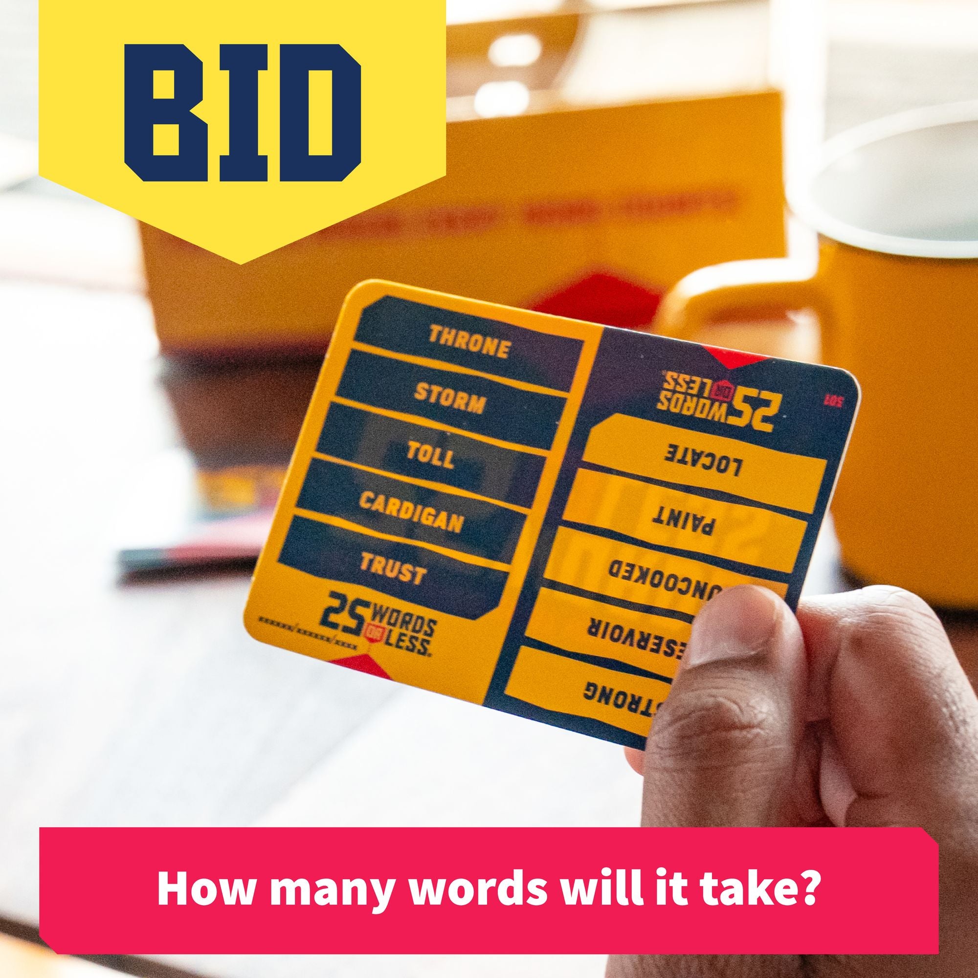 25 Words or Less by Bruce Sterten