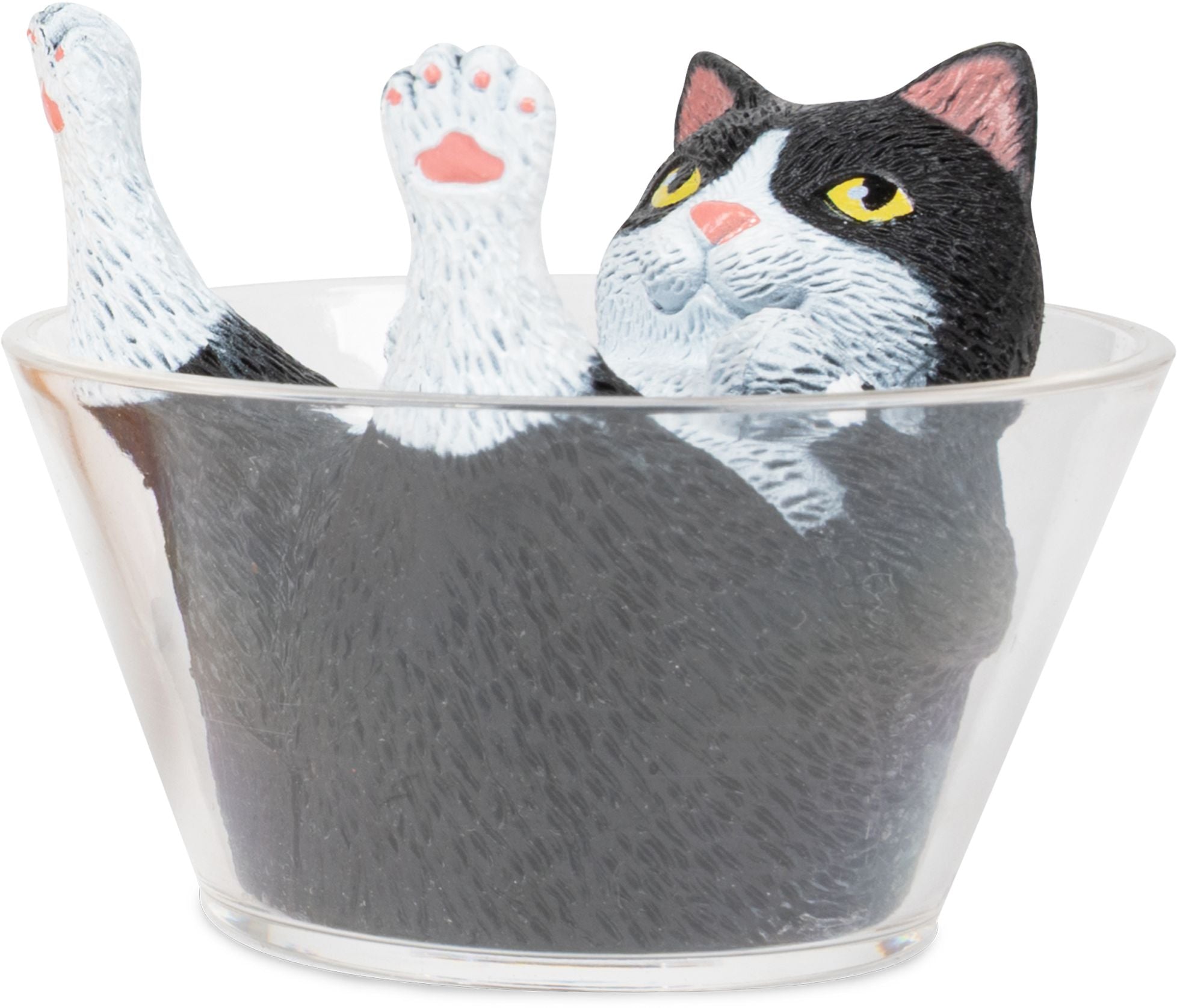 Liquid Cats
