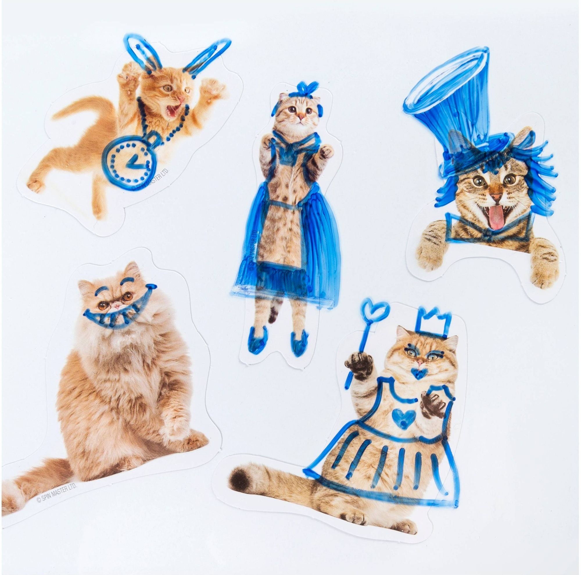 The Cat Game