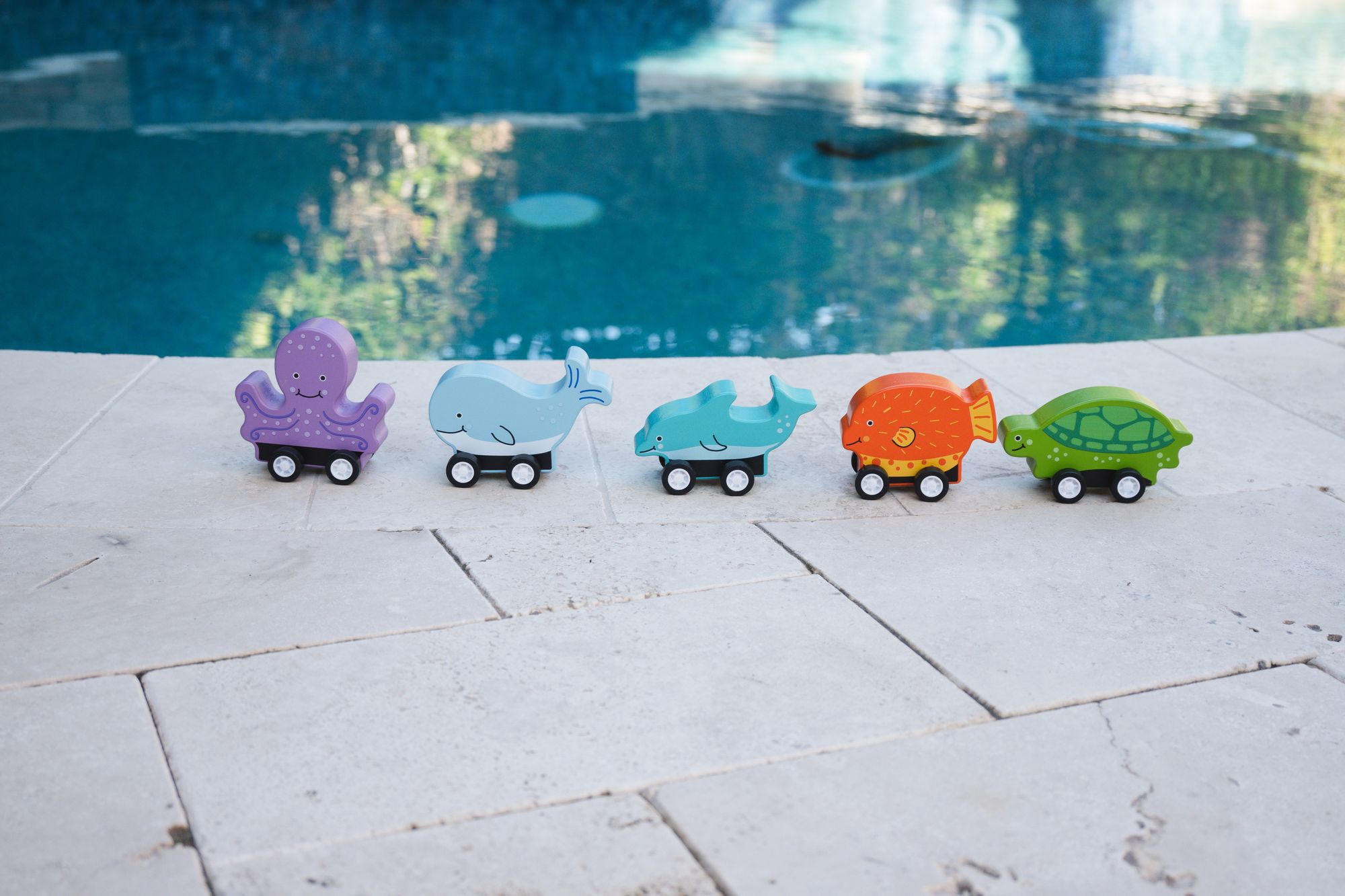 Ocean Creature Pullbacks