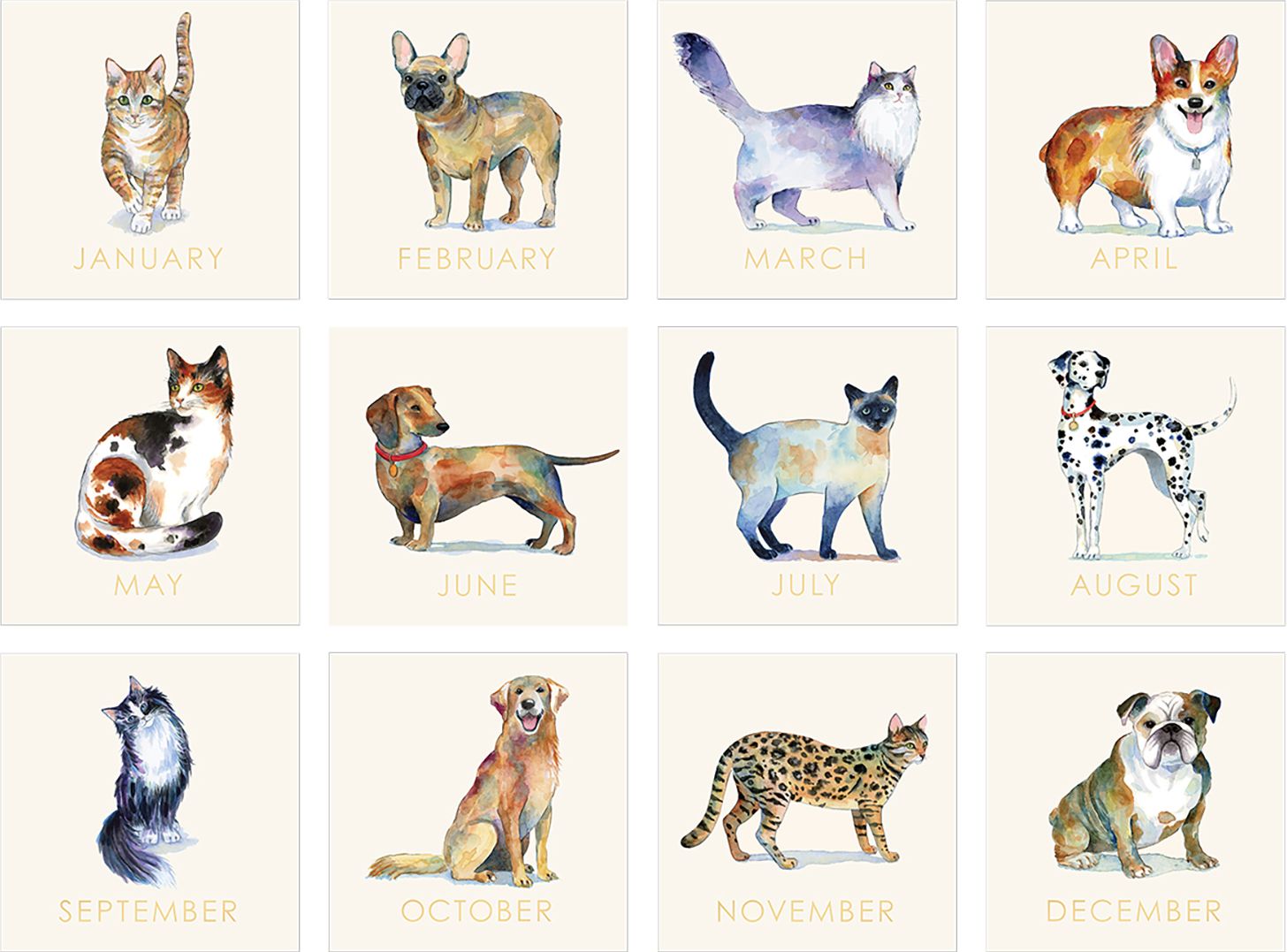 2026 Watercolor Pets Wall Calendar - Exclusive