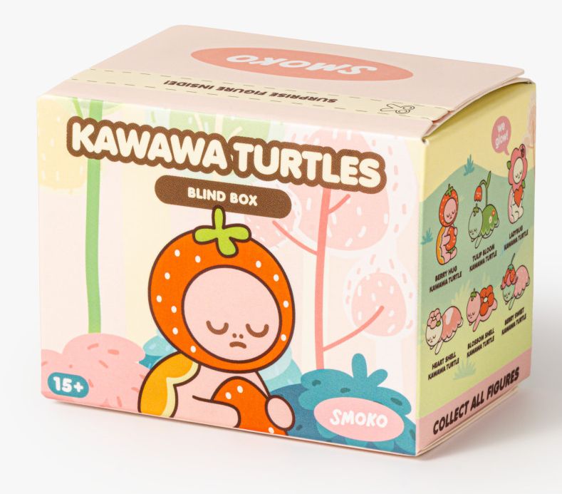 Kawaii Turtle Blind Box