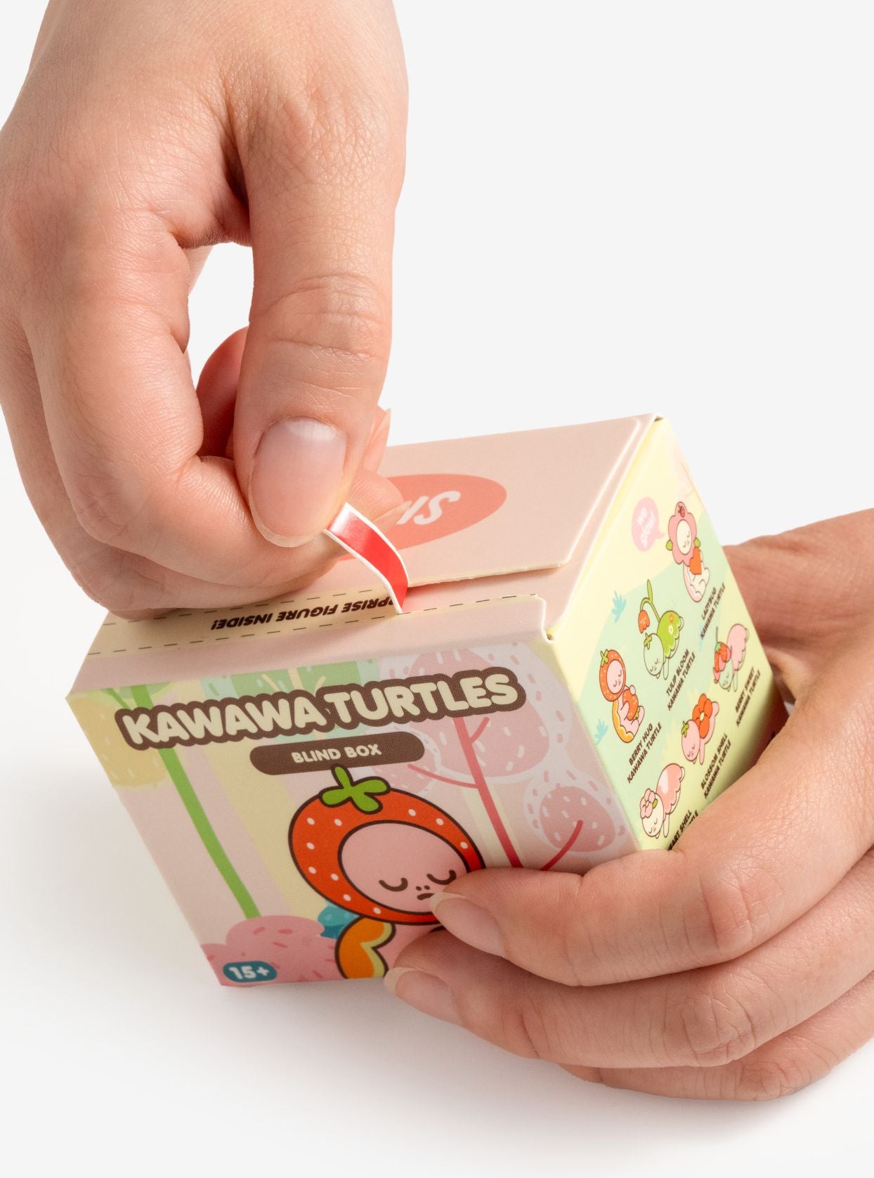 Kawaii Turtle Blind Box