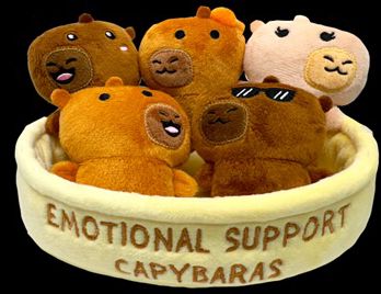 Emotional Support Capybaras