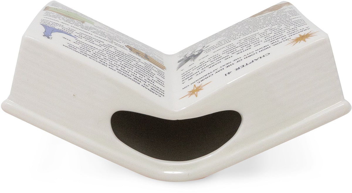 A Court of Thorns and Roses,, Open Book Vase, A Court Of Silver Flames (BN Exclusive)