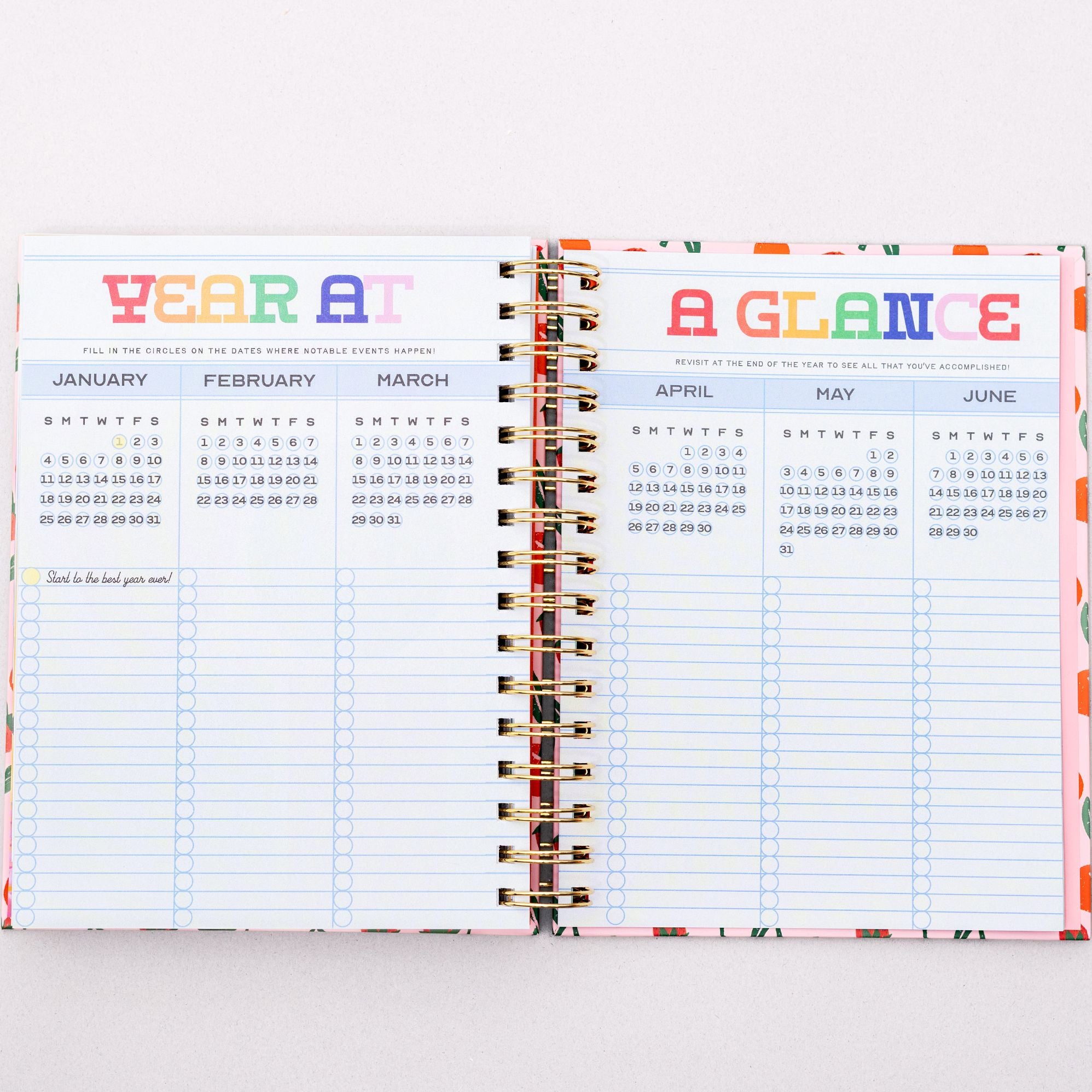 2025-2026 17 Month Medium Planner, Cherries and Strawberries