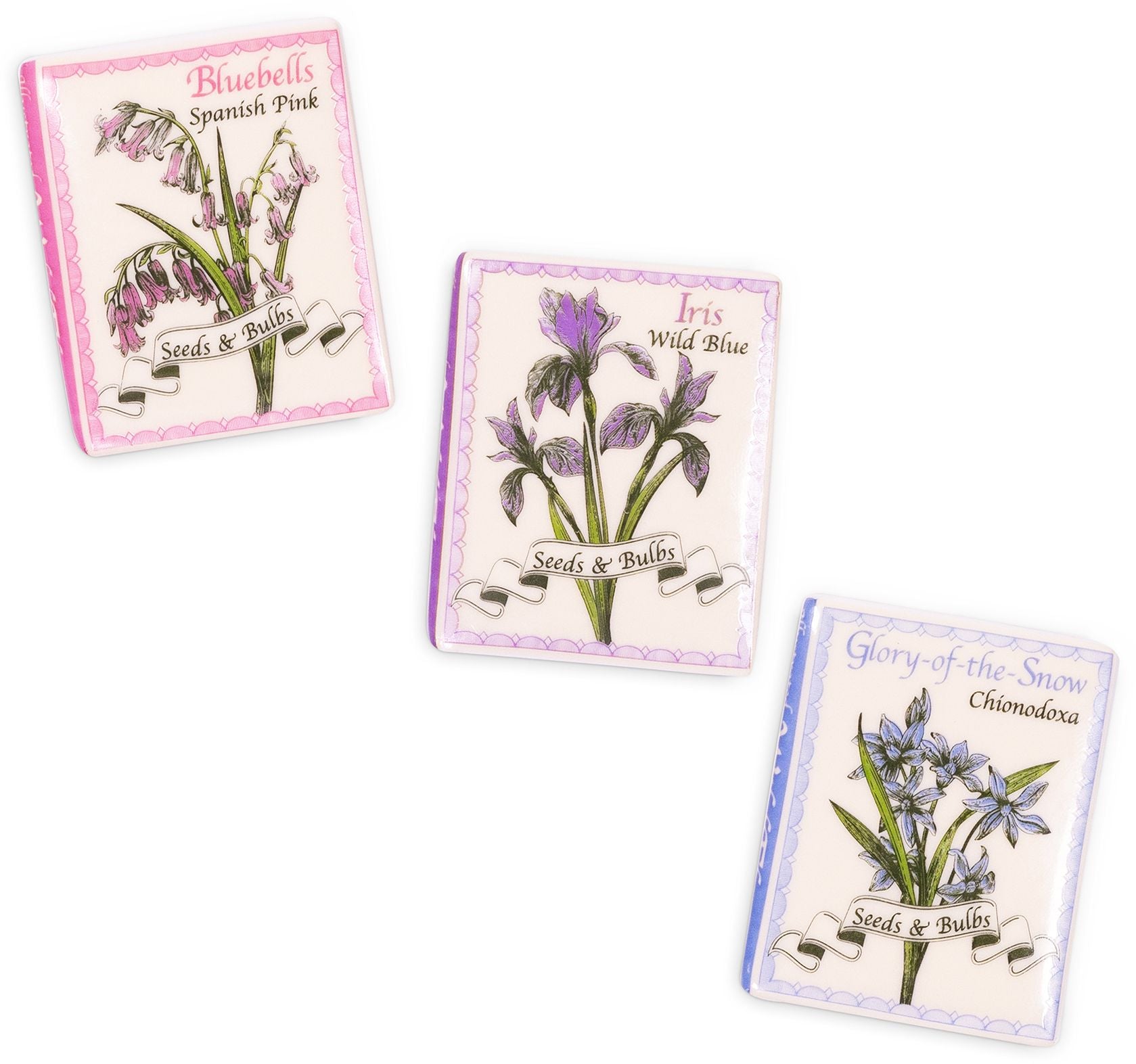 Wildflowers Book Magnet Set