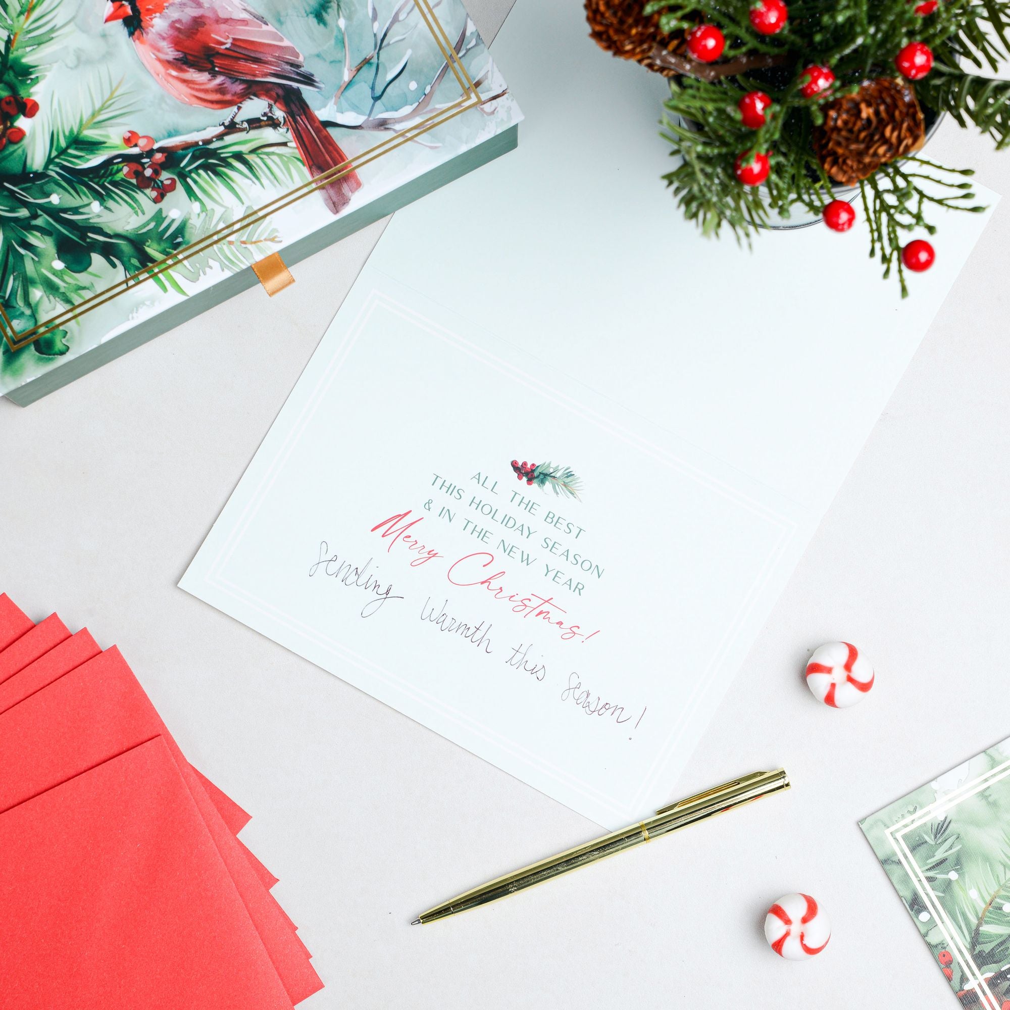 Cardinal On Pine Bough Boxed Christmas Cards Set of 20