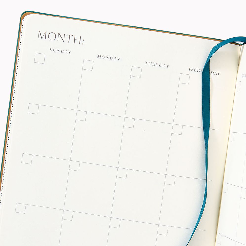 Sand Paper Wasp LG Undated Planner