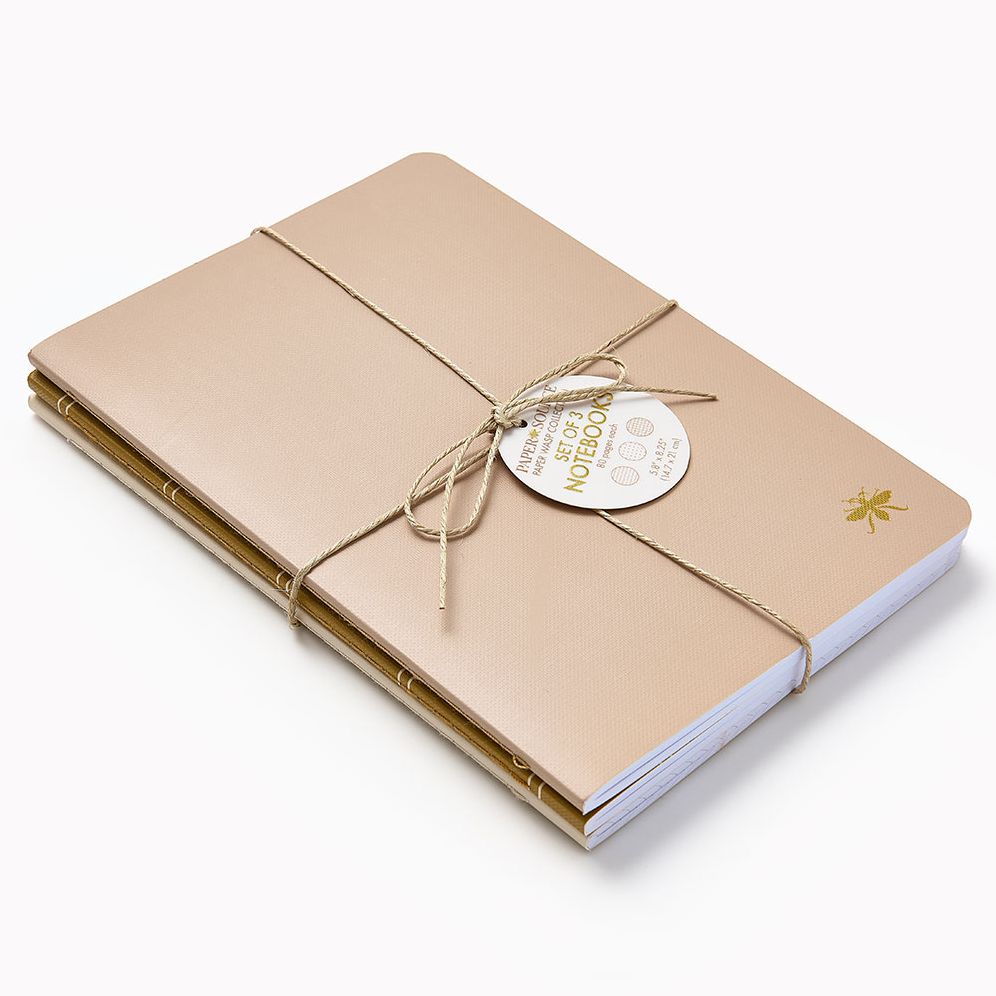 Sand Paper Wasp S/3 Notebooks