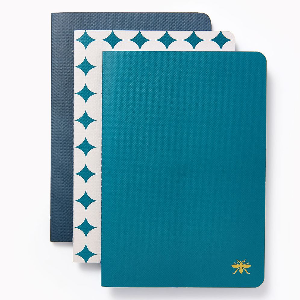 Teal Paper Wasp S/3 Notebooks
