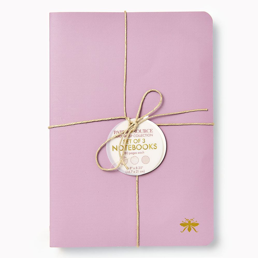 Wisteria Paper Wasp S/3 Notebooks
