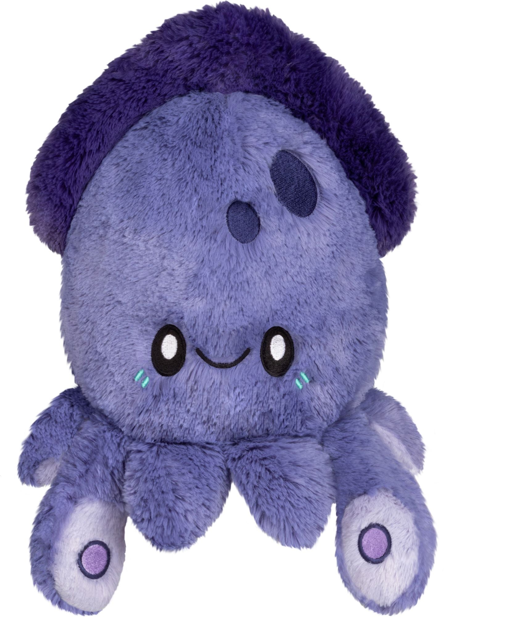 MINI SQUID