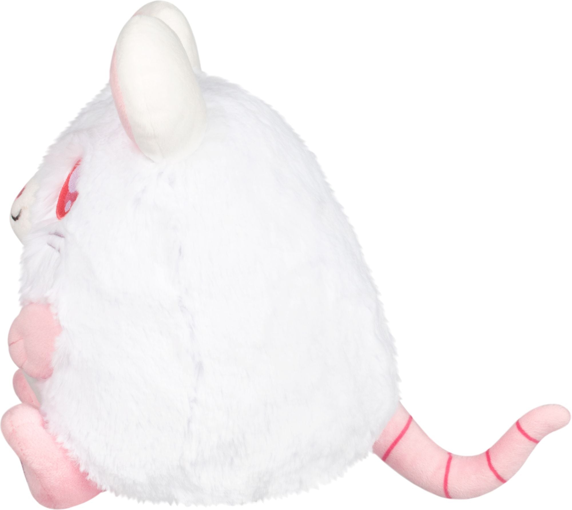 MINI WHITE RAT