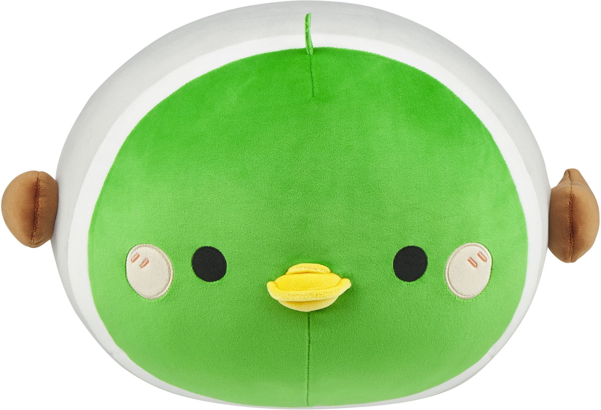 Mallard Duck Laydown