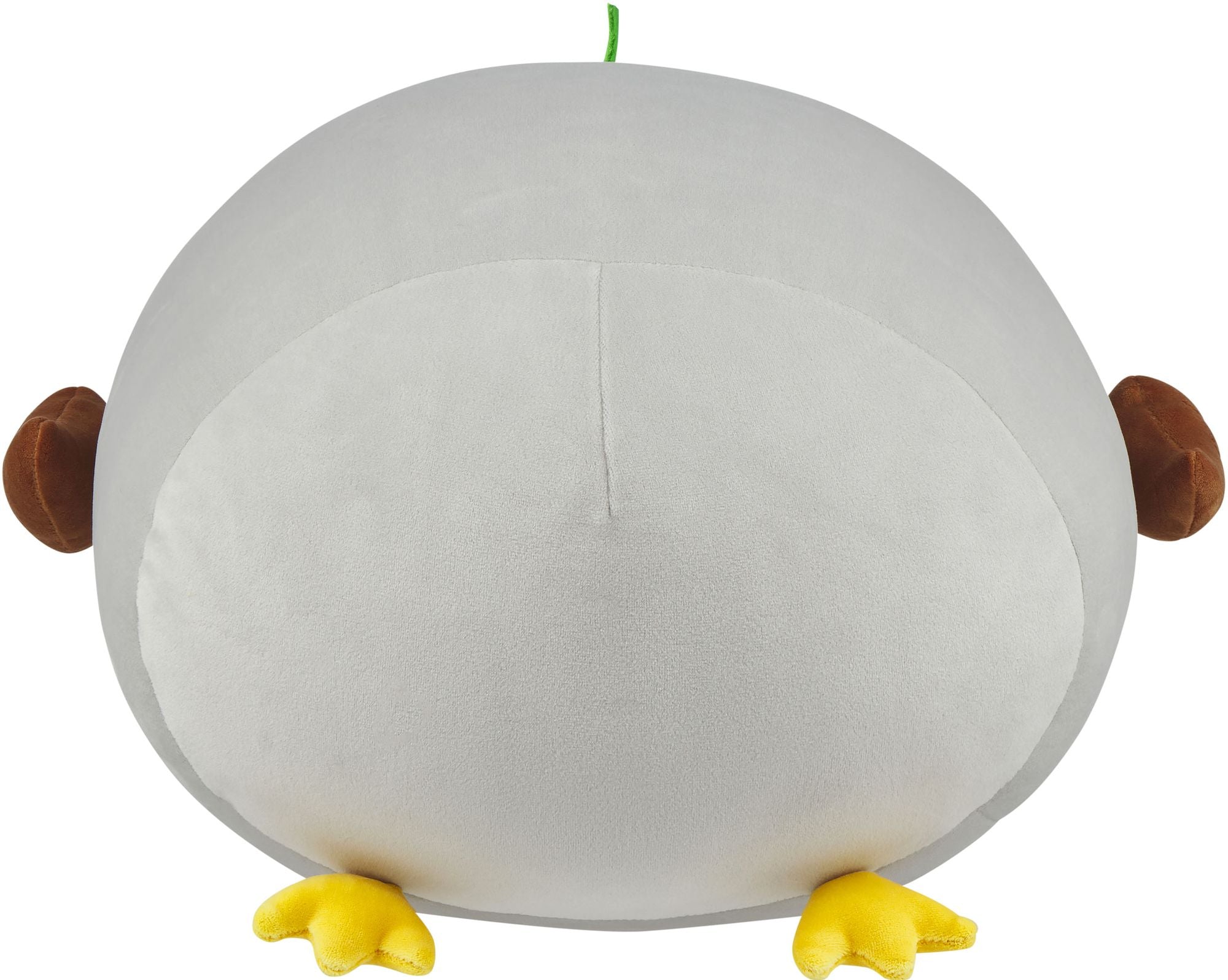 Mallard Duck Laydown