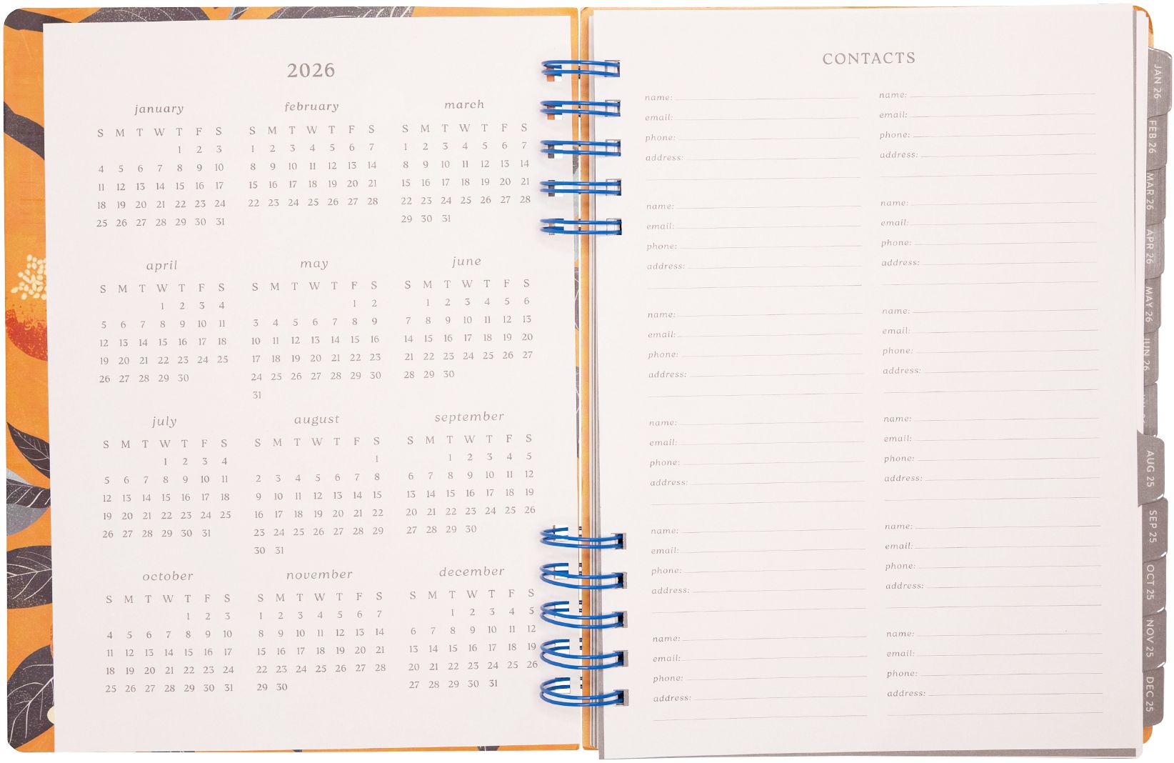 2025-2026 WN Pastel Citrus Weekly Desk Planner