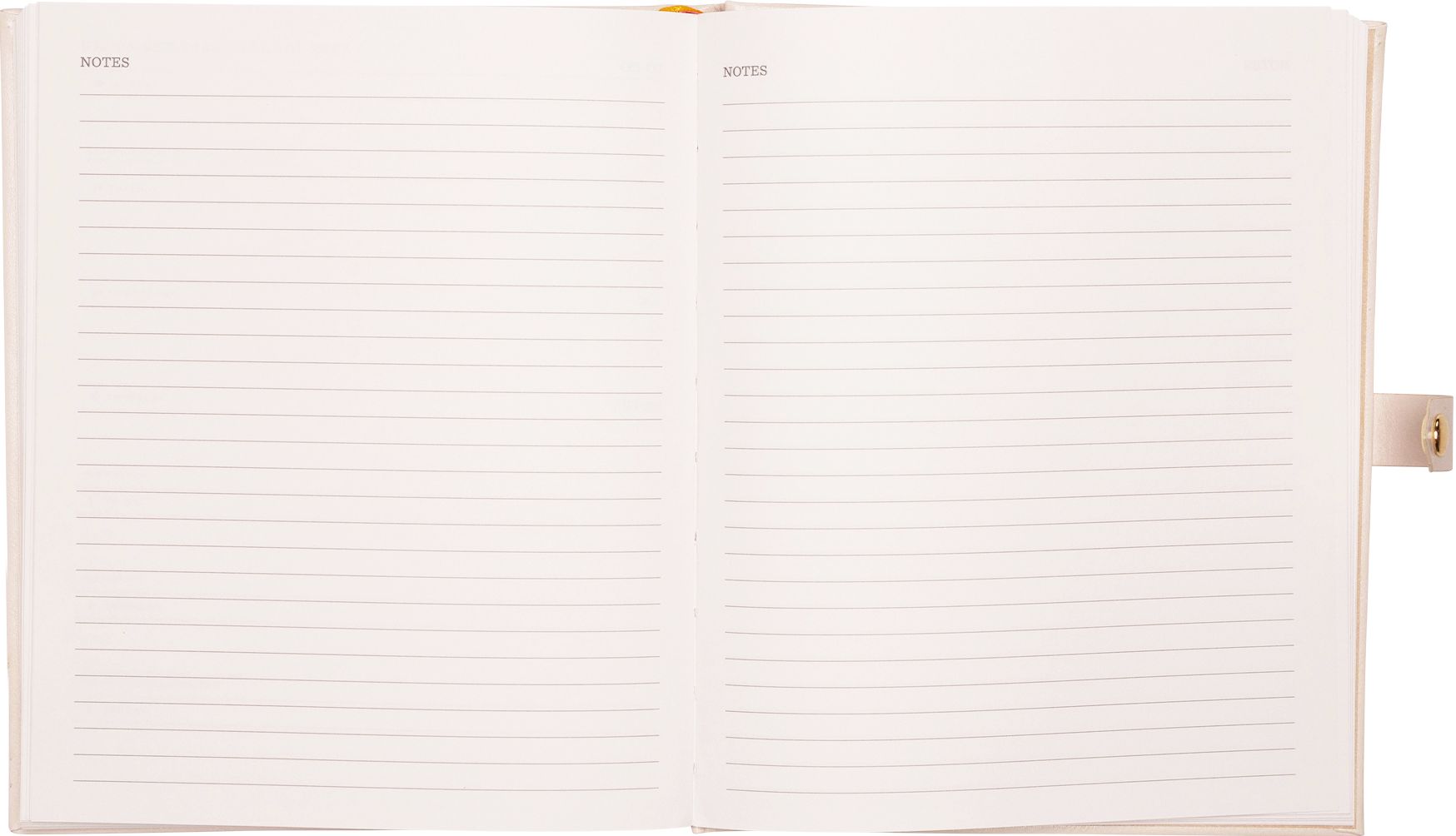 2025-2026 JT Bee Floral Weekly Desk Planner