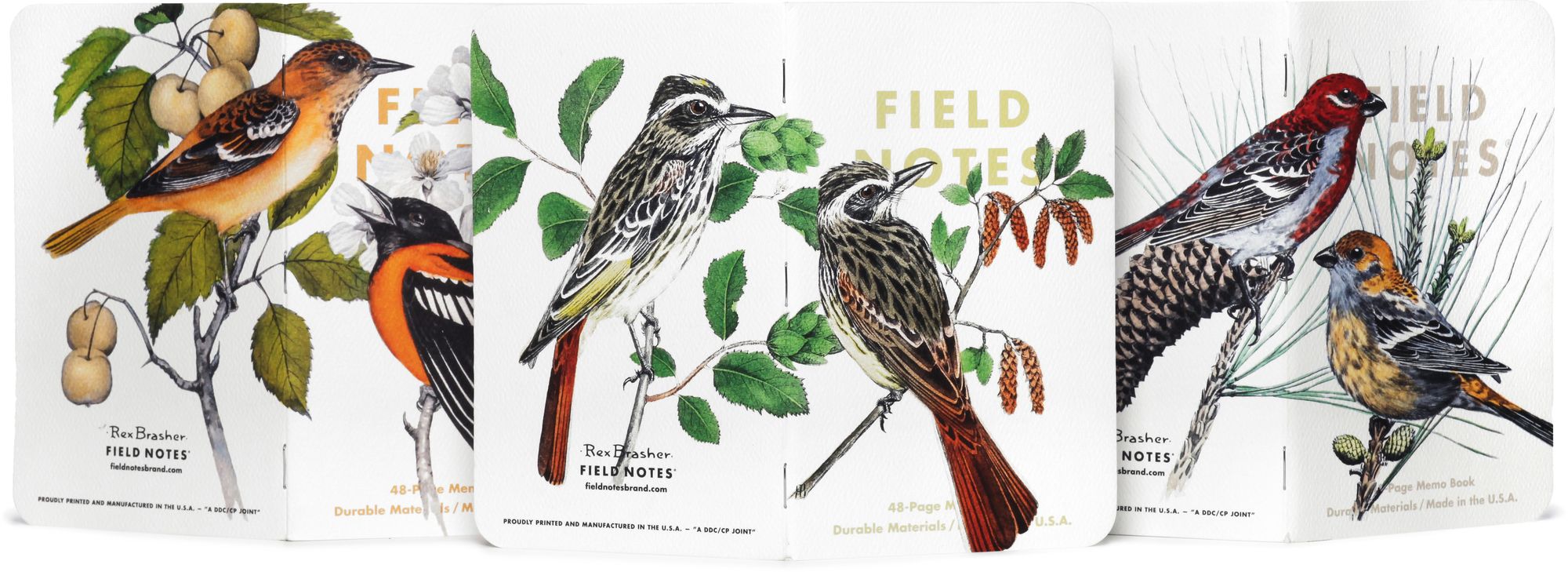 Birds and Trees of North America Pocket Notebook Set of 3