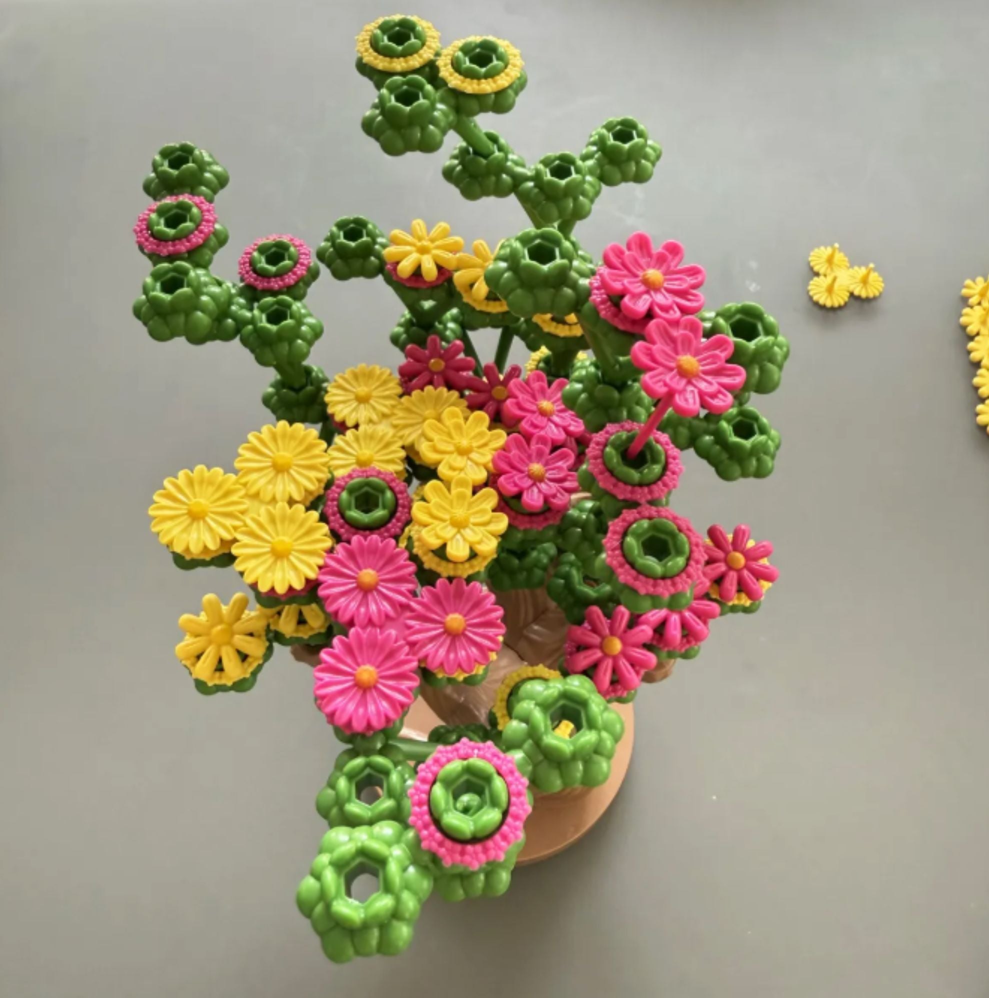 Bloomchasers by Evan Katz & Tavey Lin