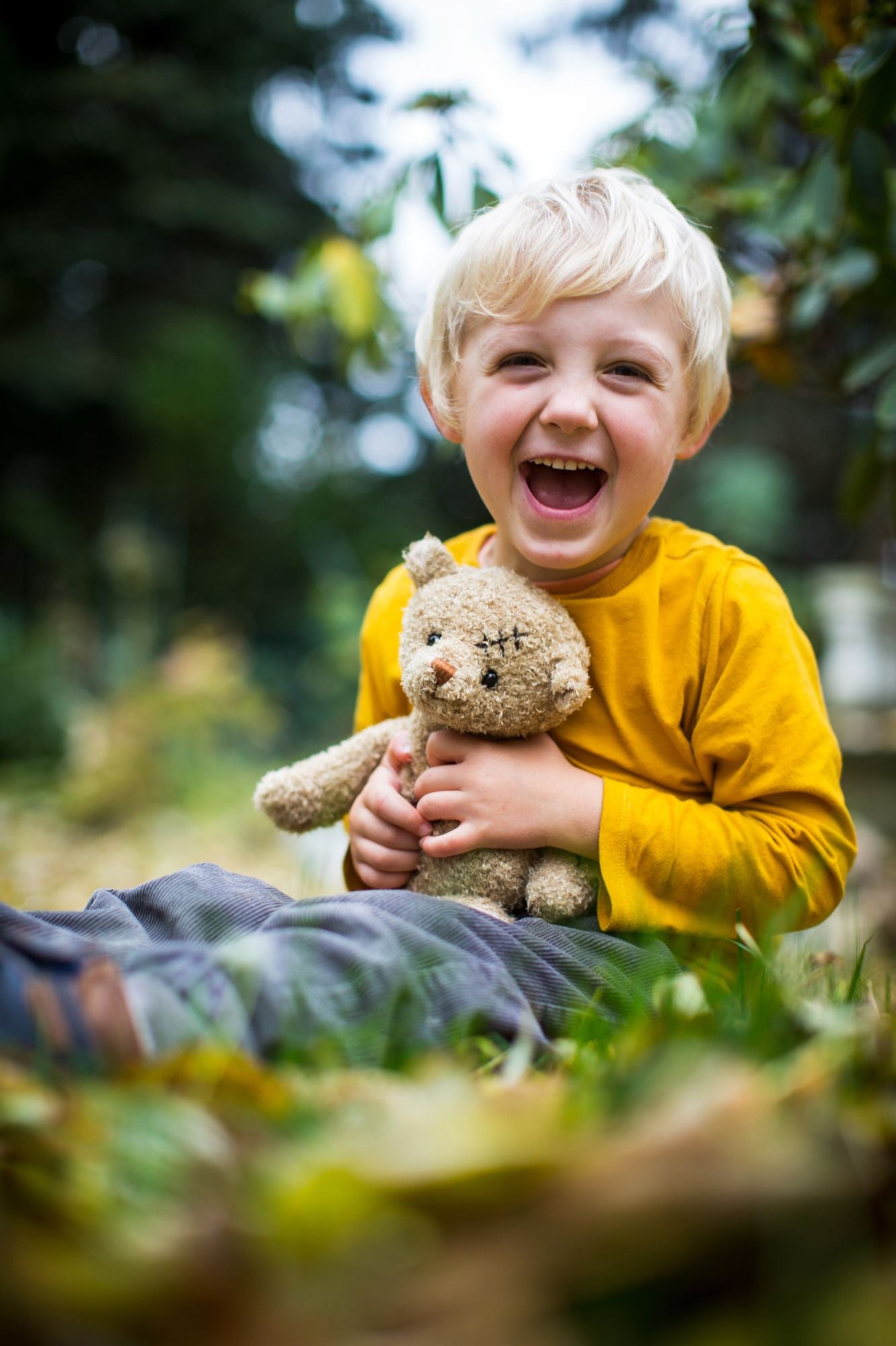 Nobody is Perfect Bear