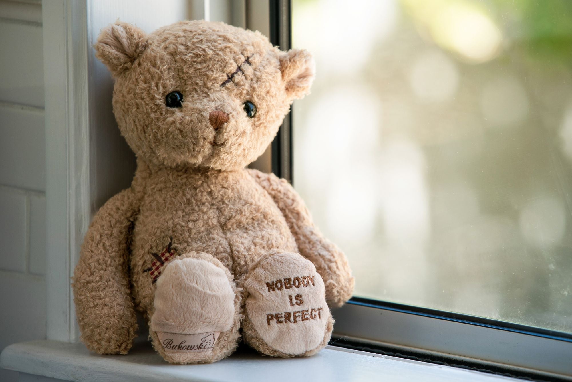 Nobody is Perfect Bear