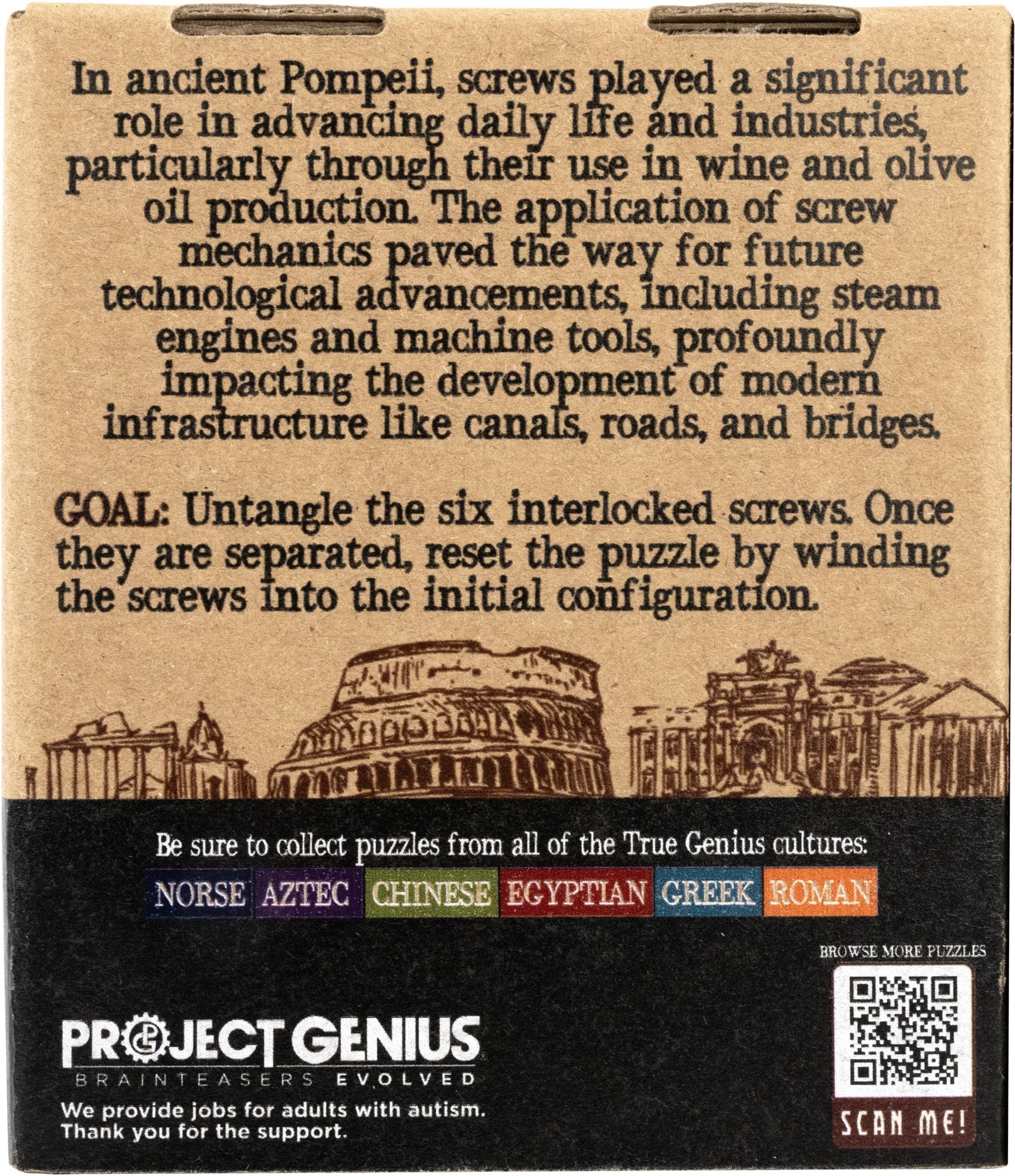 True Genius Metal - Bolts of Pompei Brainteaser Puzzle