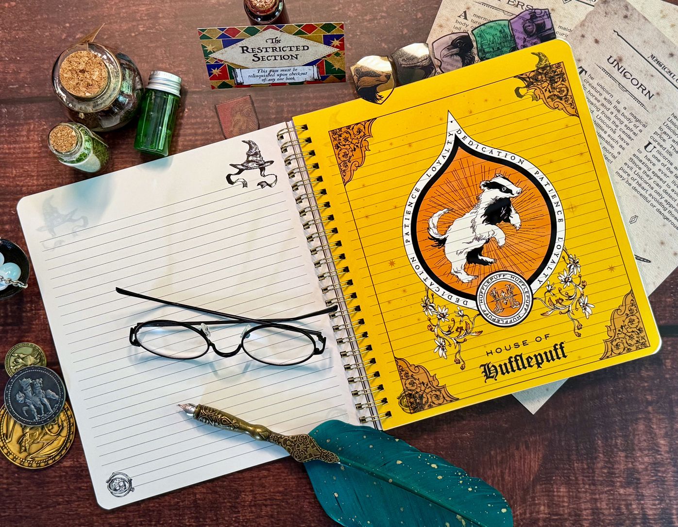 Harry Potter Sorting Hat Tabbed Journal