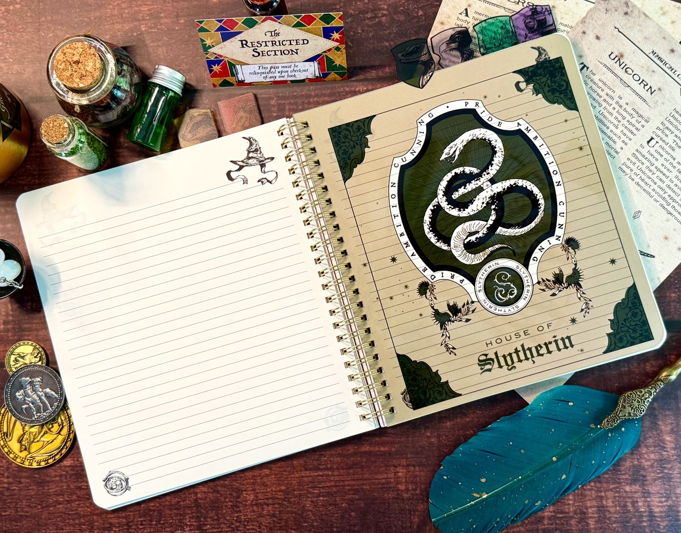 Harry Potter Sorting Hat Tabbed Journal