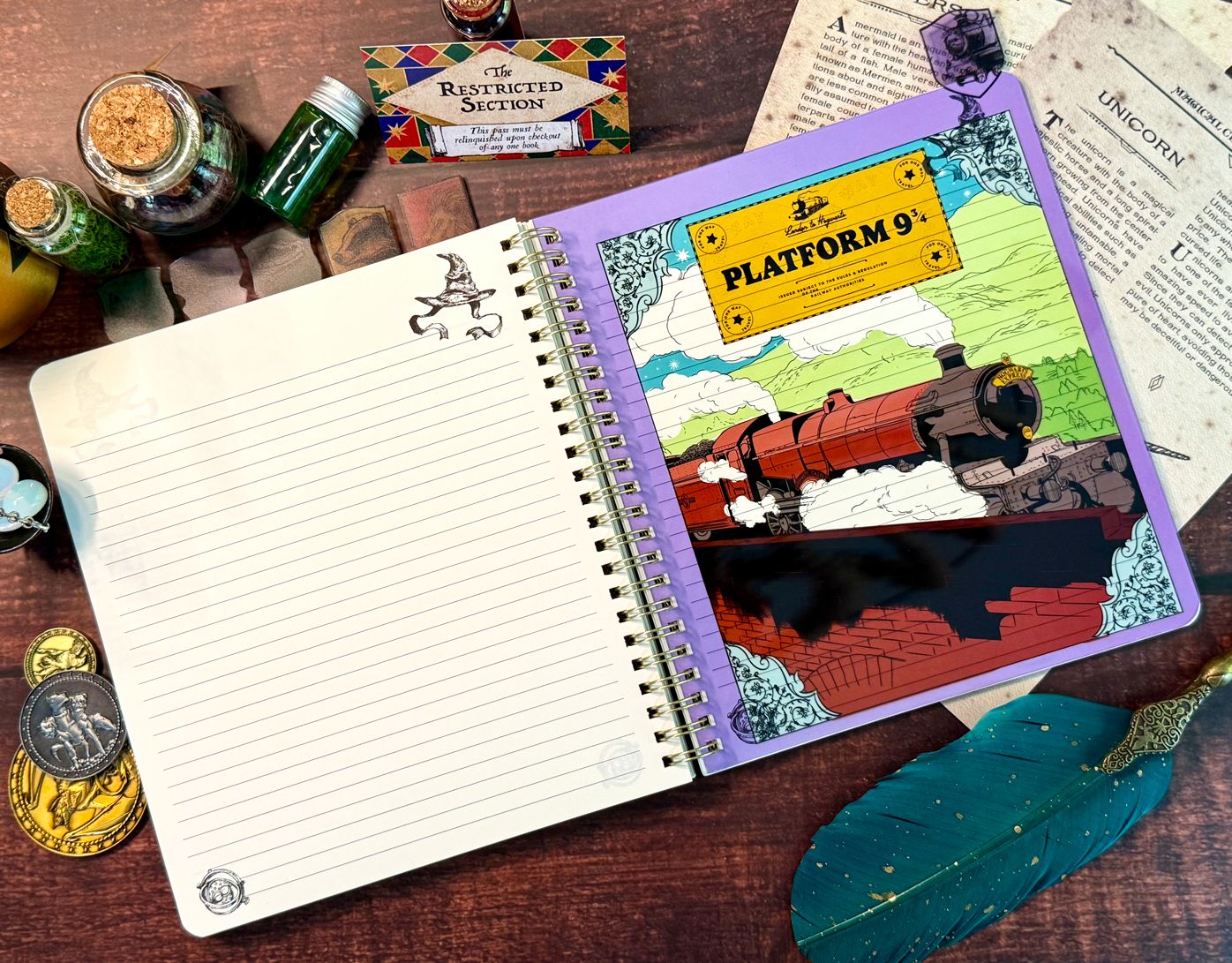 Harry Potter Sorting Hat Tabbed Journal