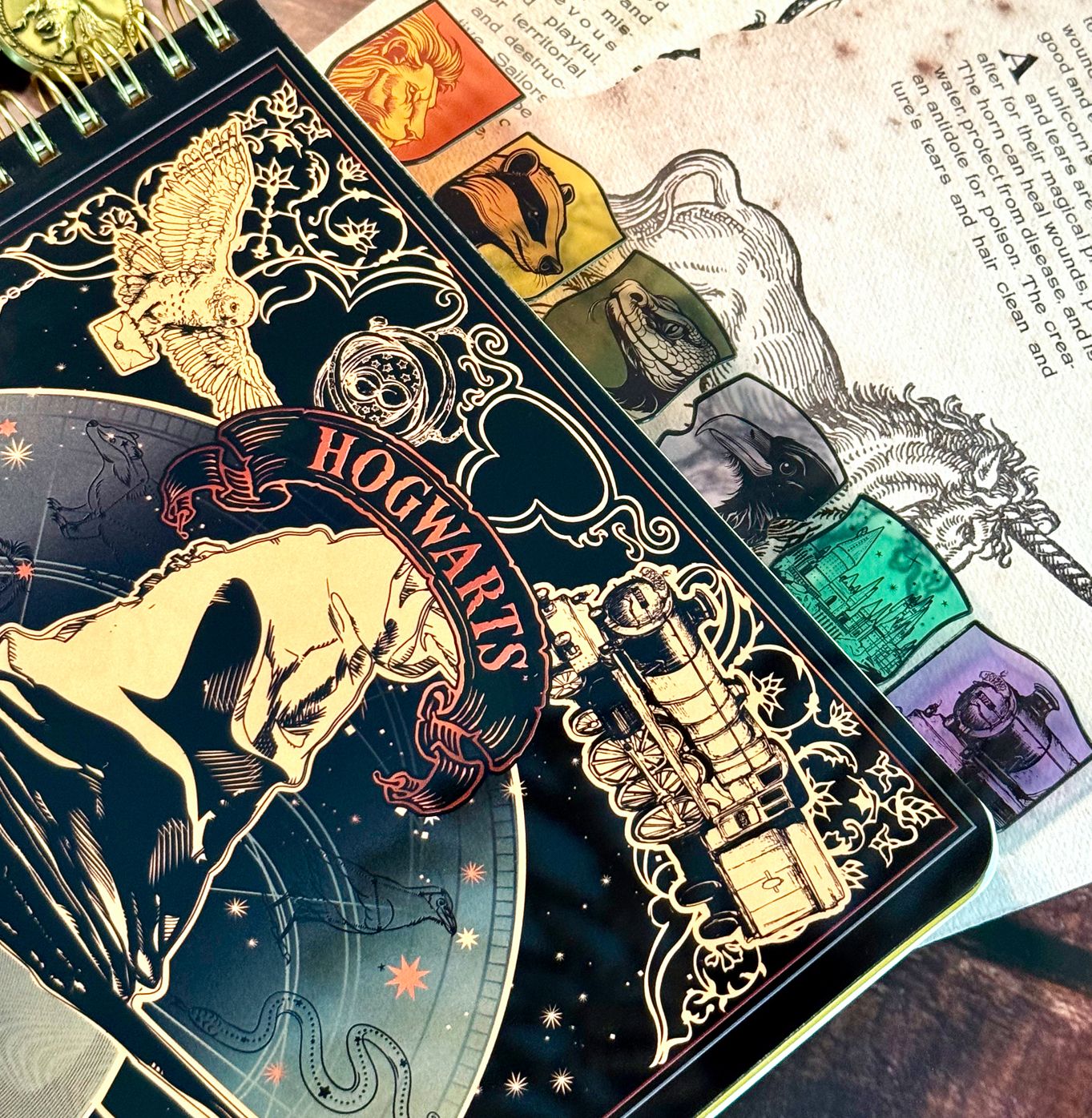 Harry Potter Sorting Hat Tabbed Journal