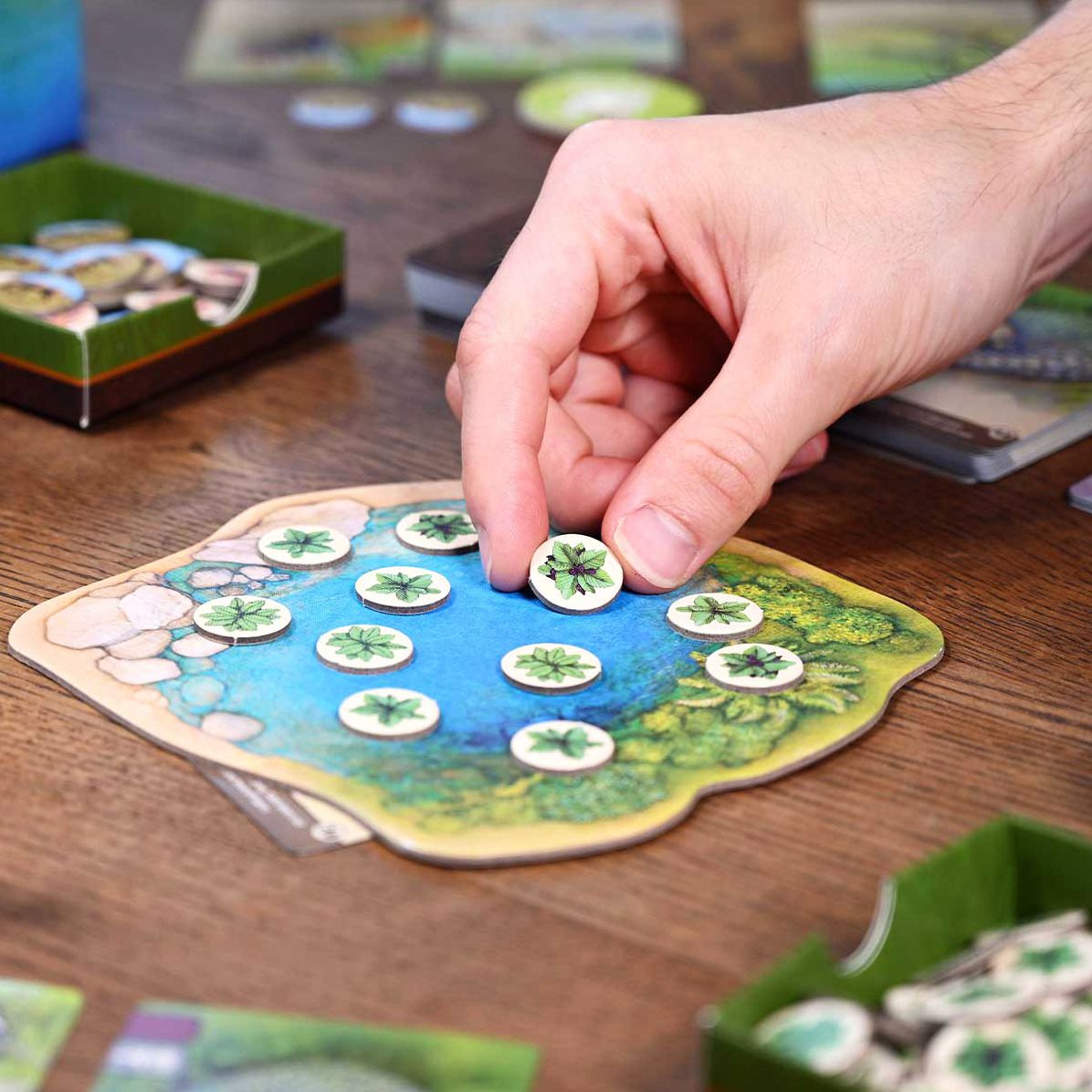 Nature Board Game by Dominic Crapuchettes