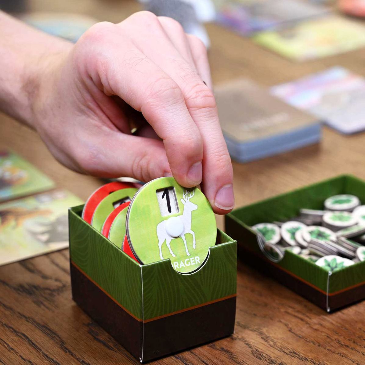 Nature Board Game by Dominic Crapuchettes