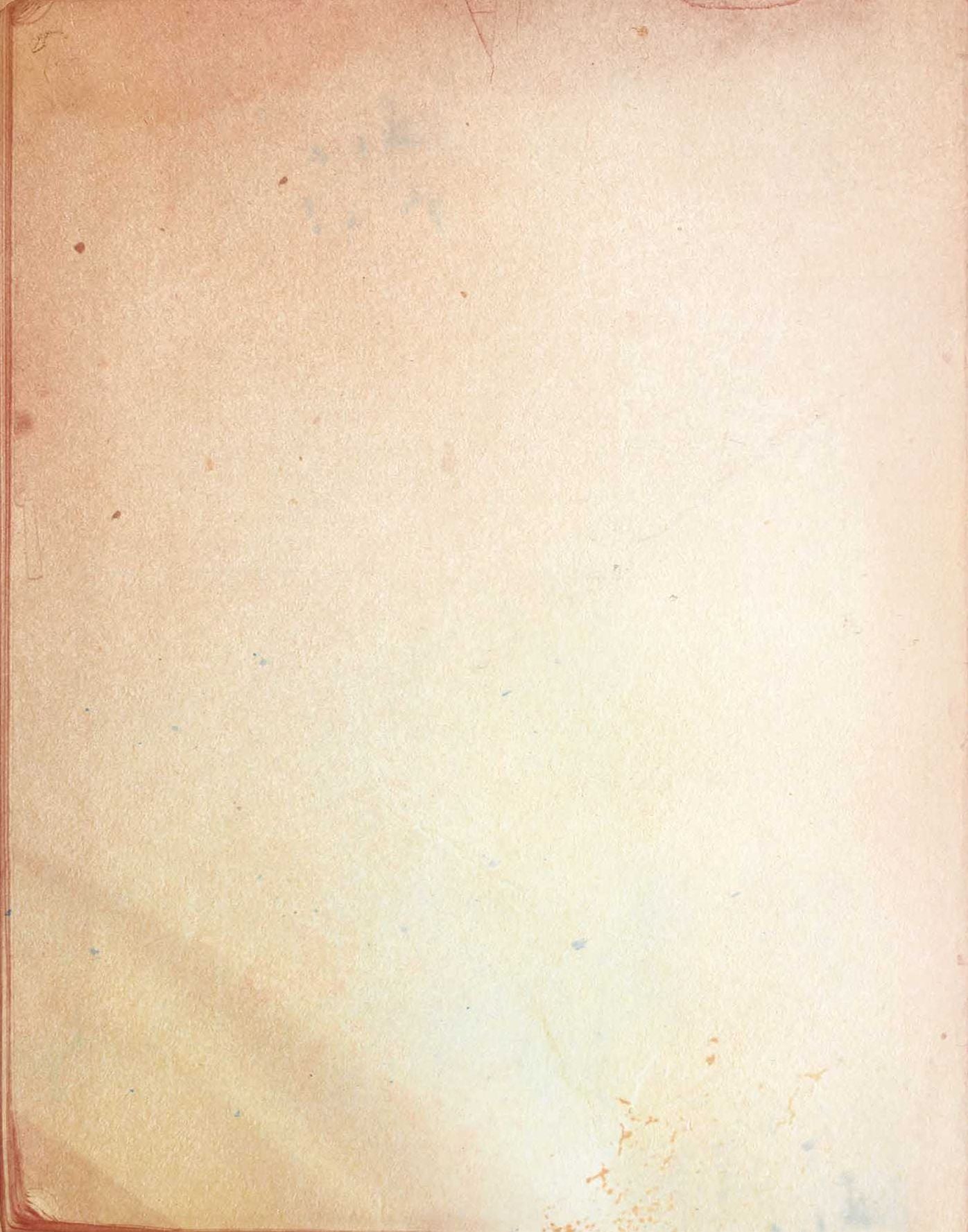 239340293.jpg