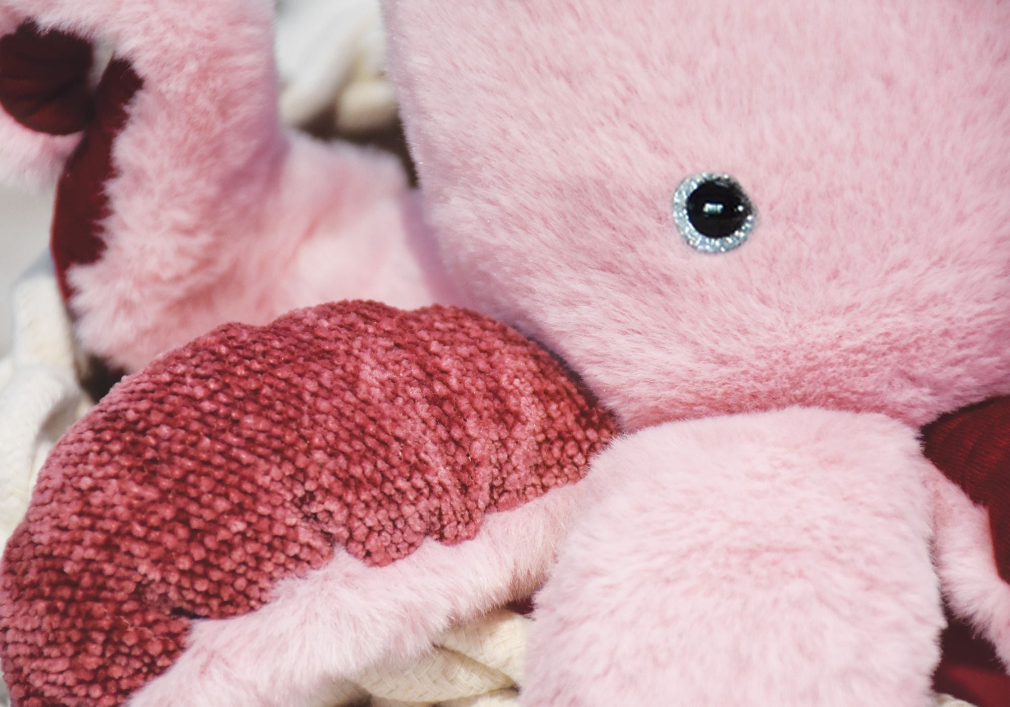 Marine Treasures - Octopus