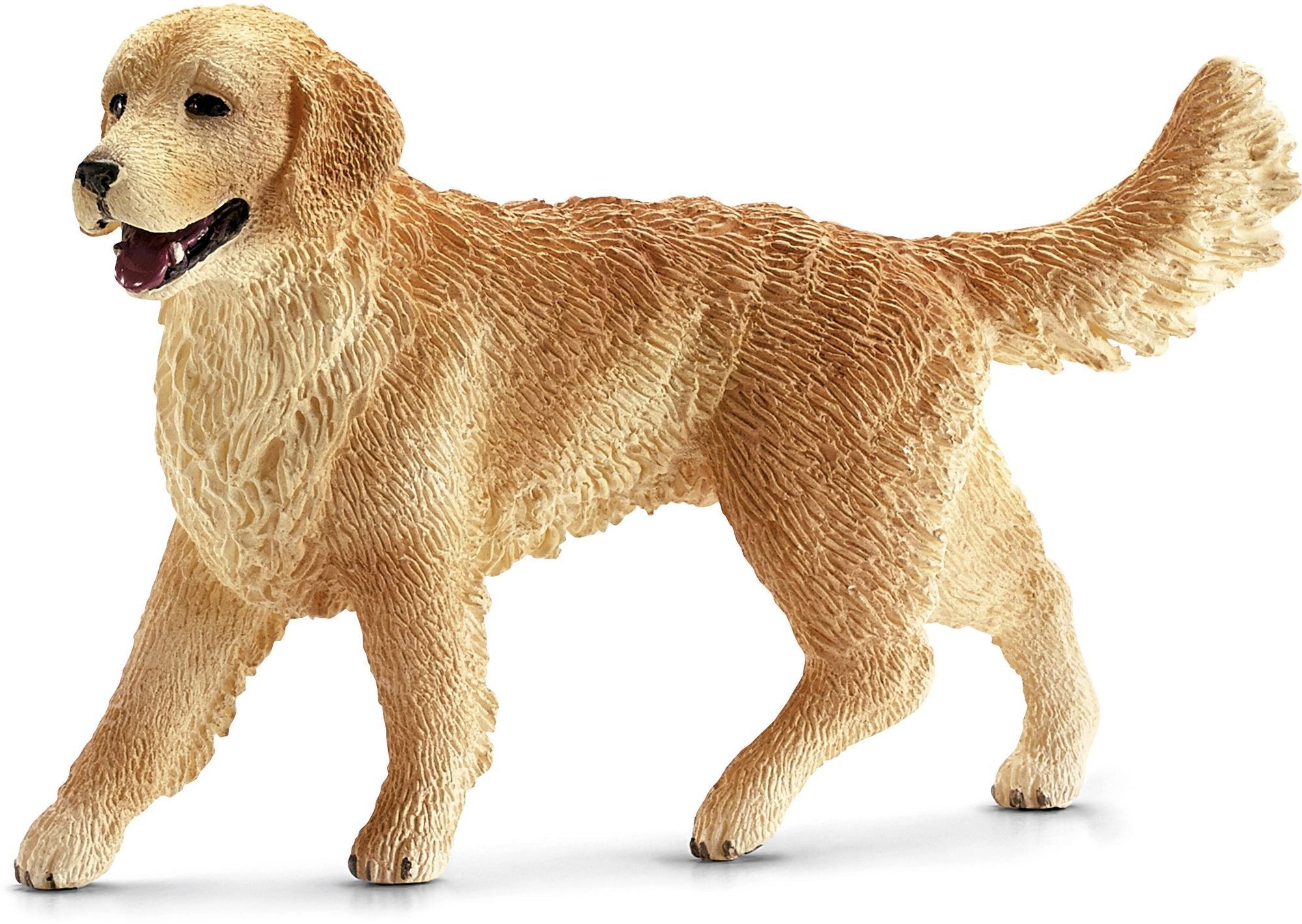 Golden Retriever, female