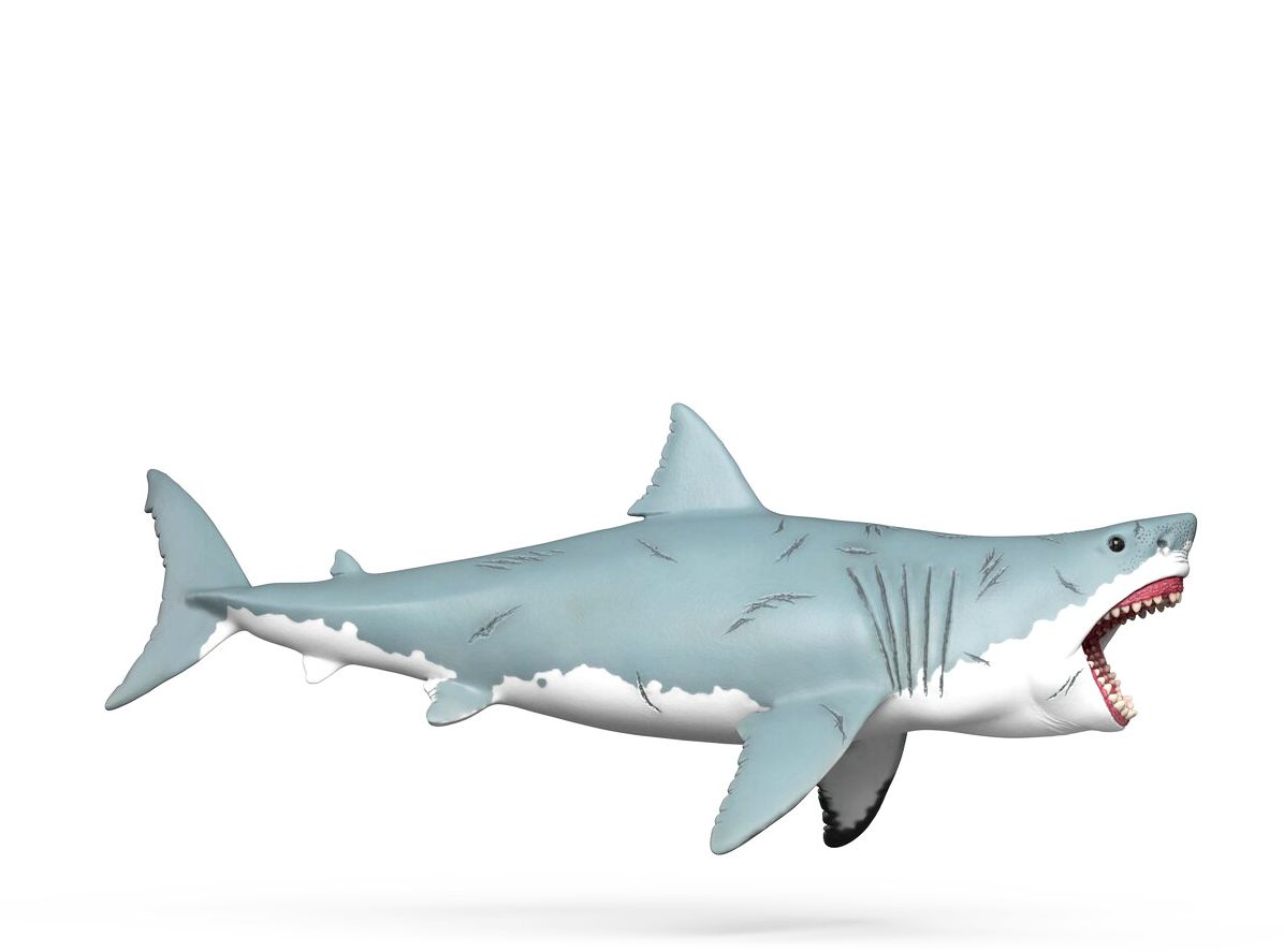 Megalodon