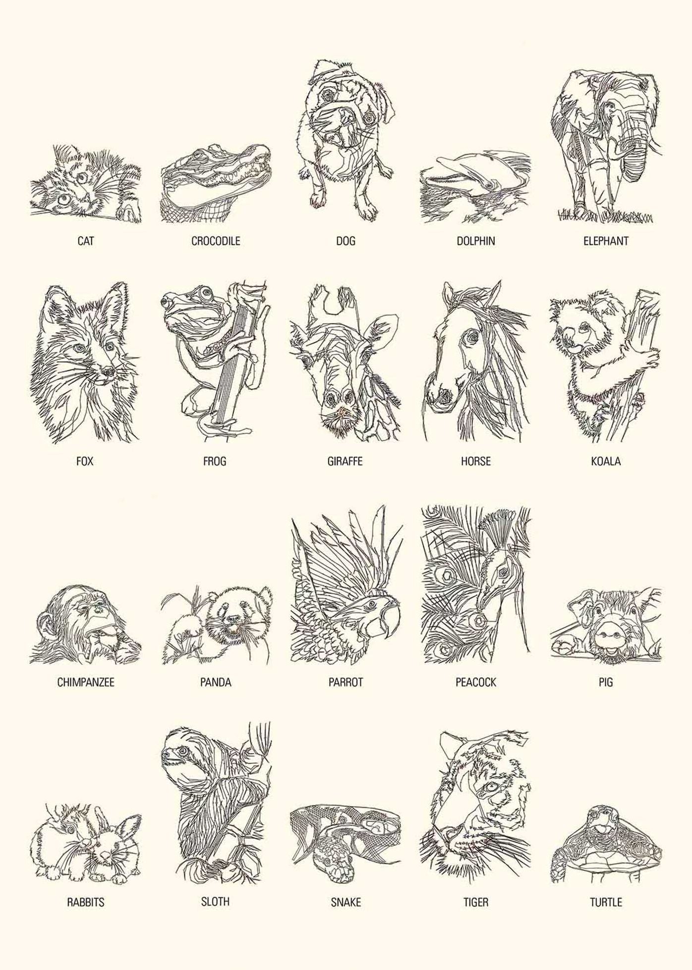 448935842.jpg