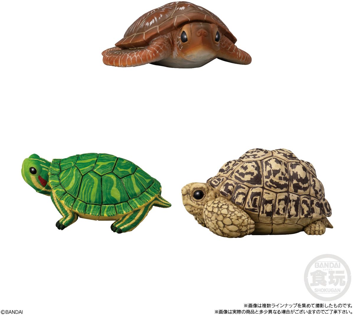 Tenori Friends 11 - Reptiles & Amphibians , Bandai Shokugan Tenori Friends